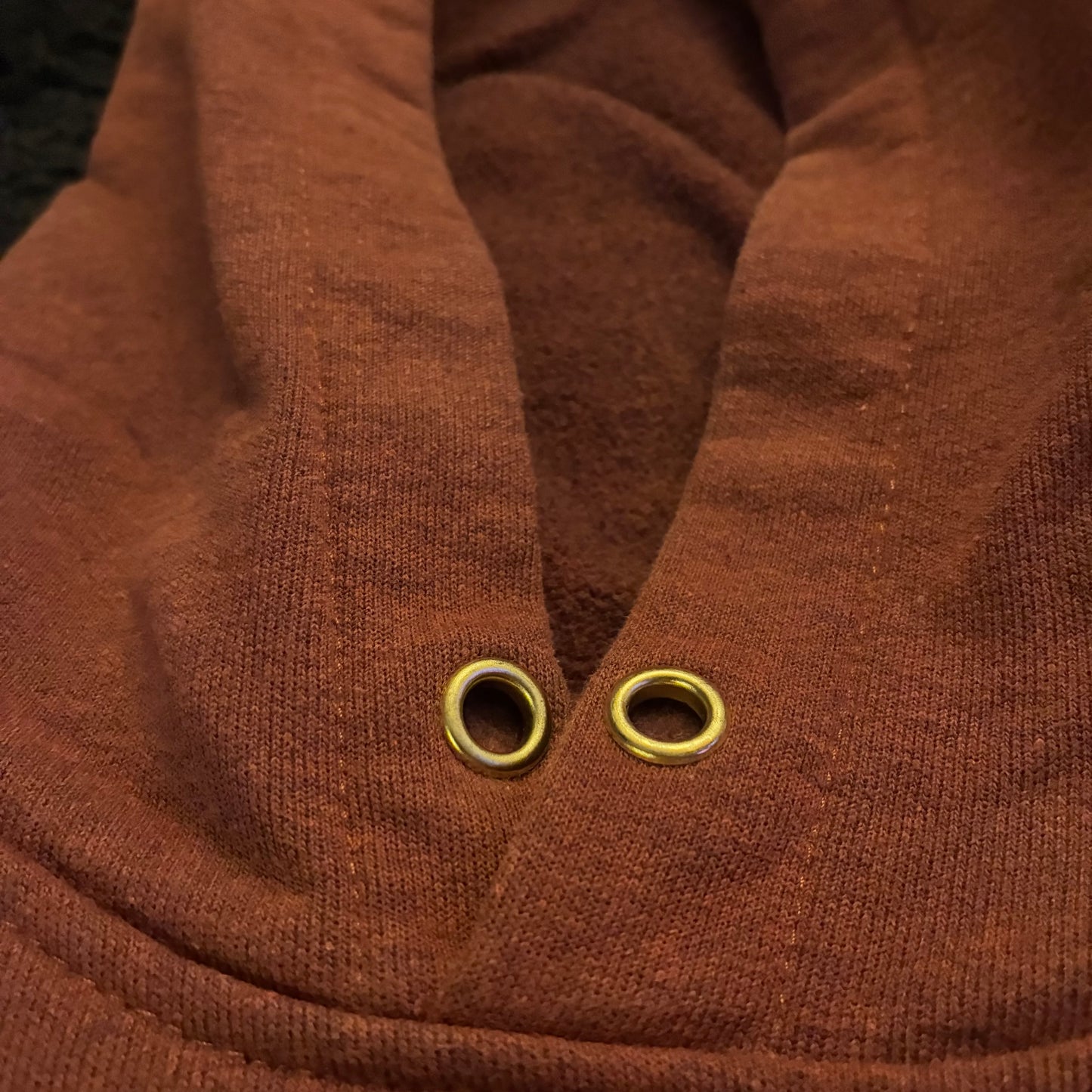 Carhartt Hoodie (M)