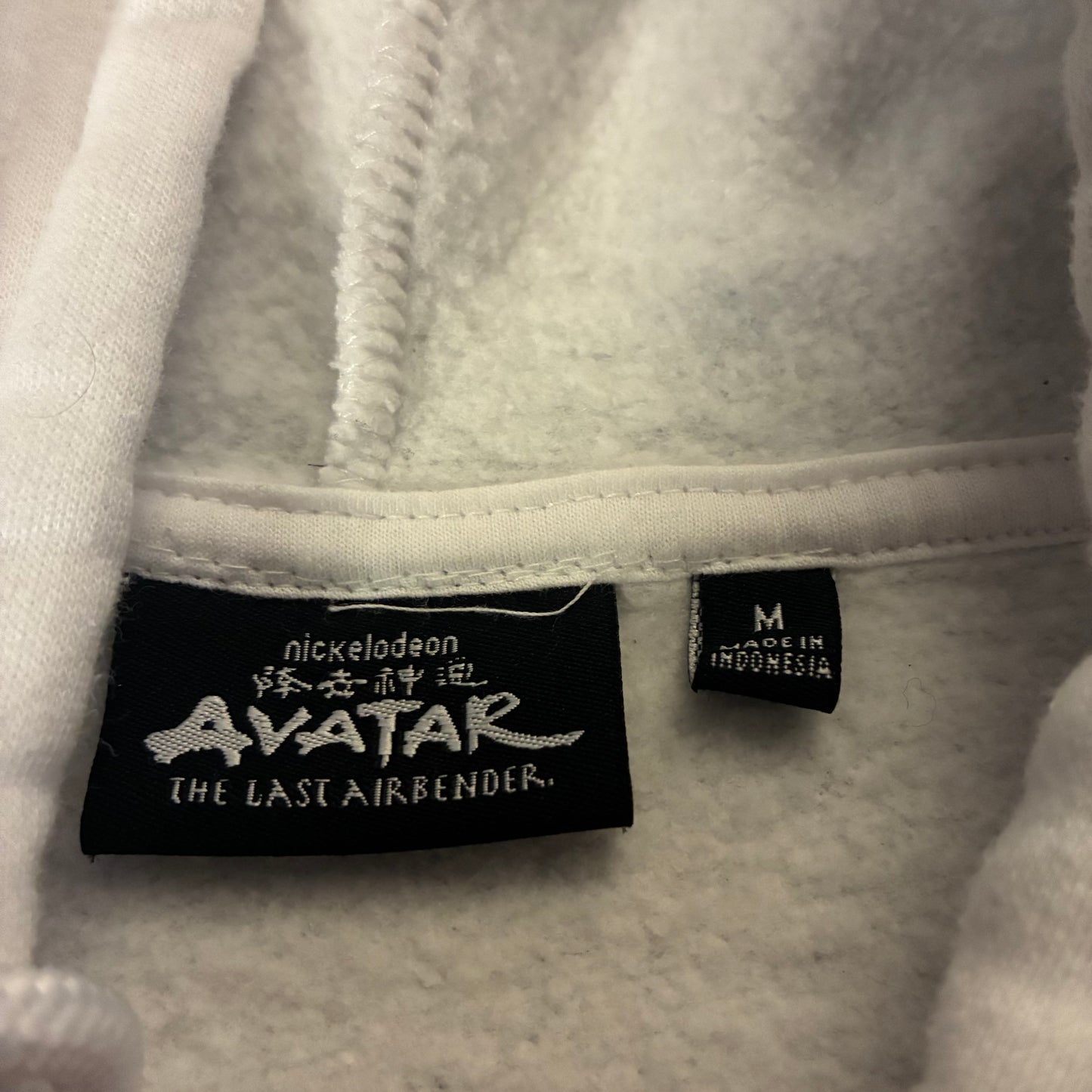 Avatar The Last Airbender Hoodie (M)