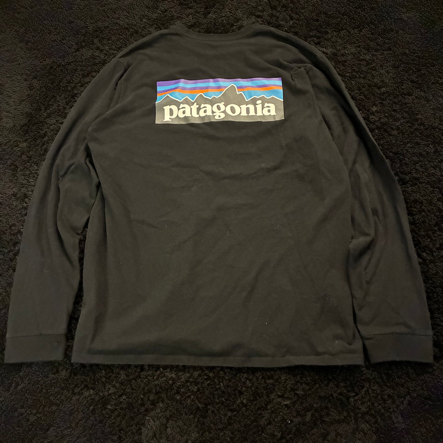 Patagonia Long Sleeve (L)