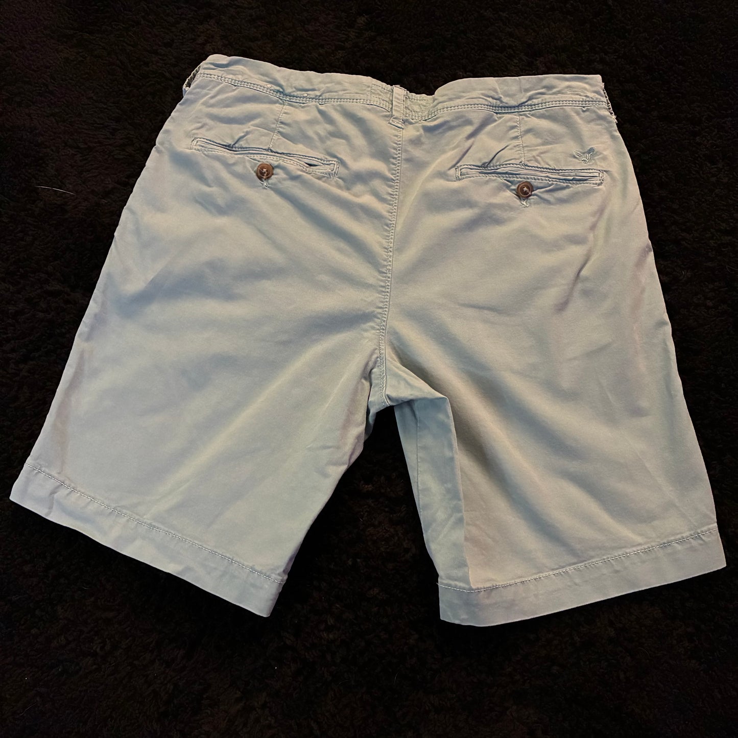 American Eagle Chino Shorts (33w)