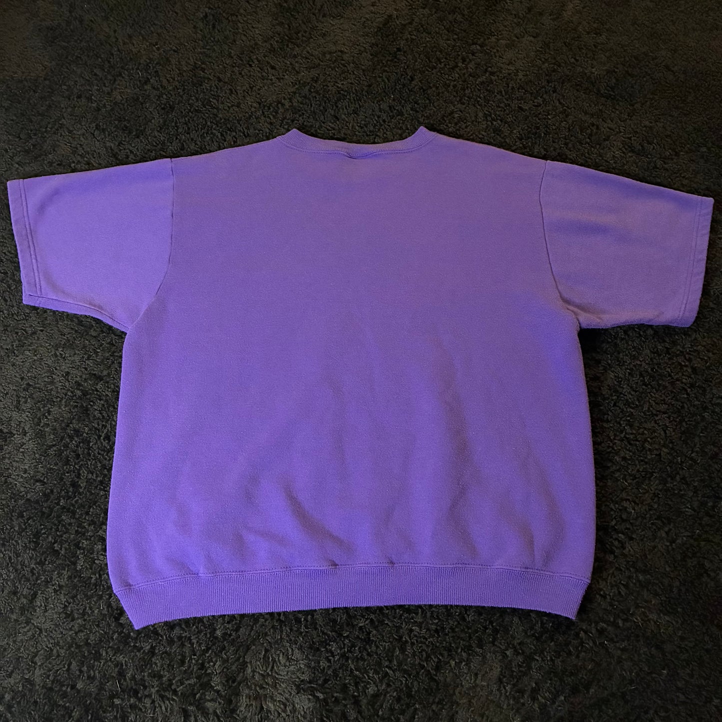 Hanes Tee (XL)