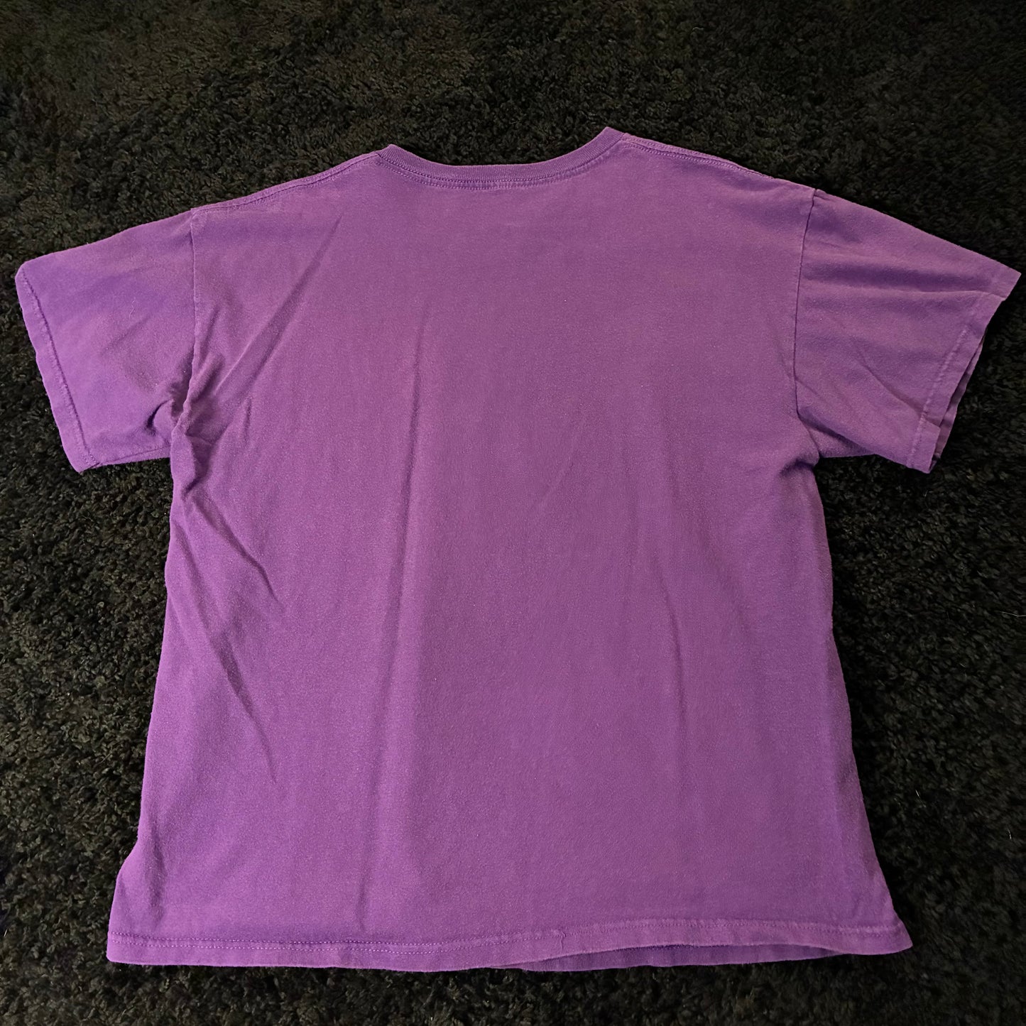 Green Lantern Graphic Tee (M)