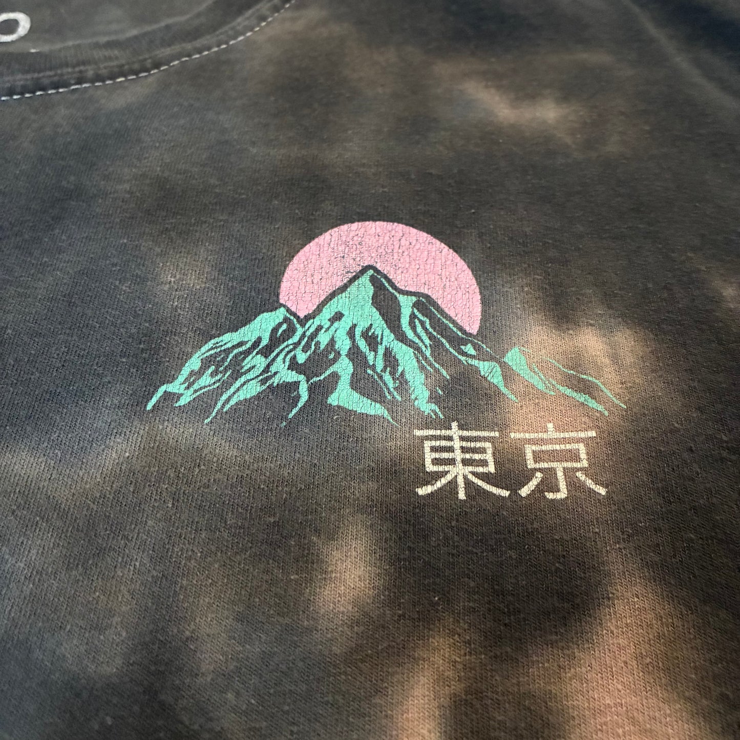 Japan Graphic Tee (L)