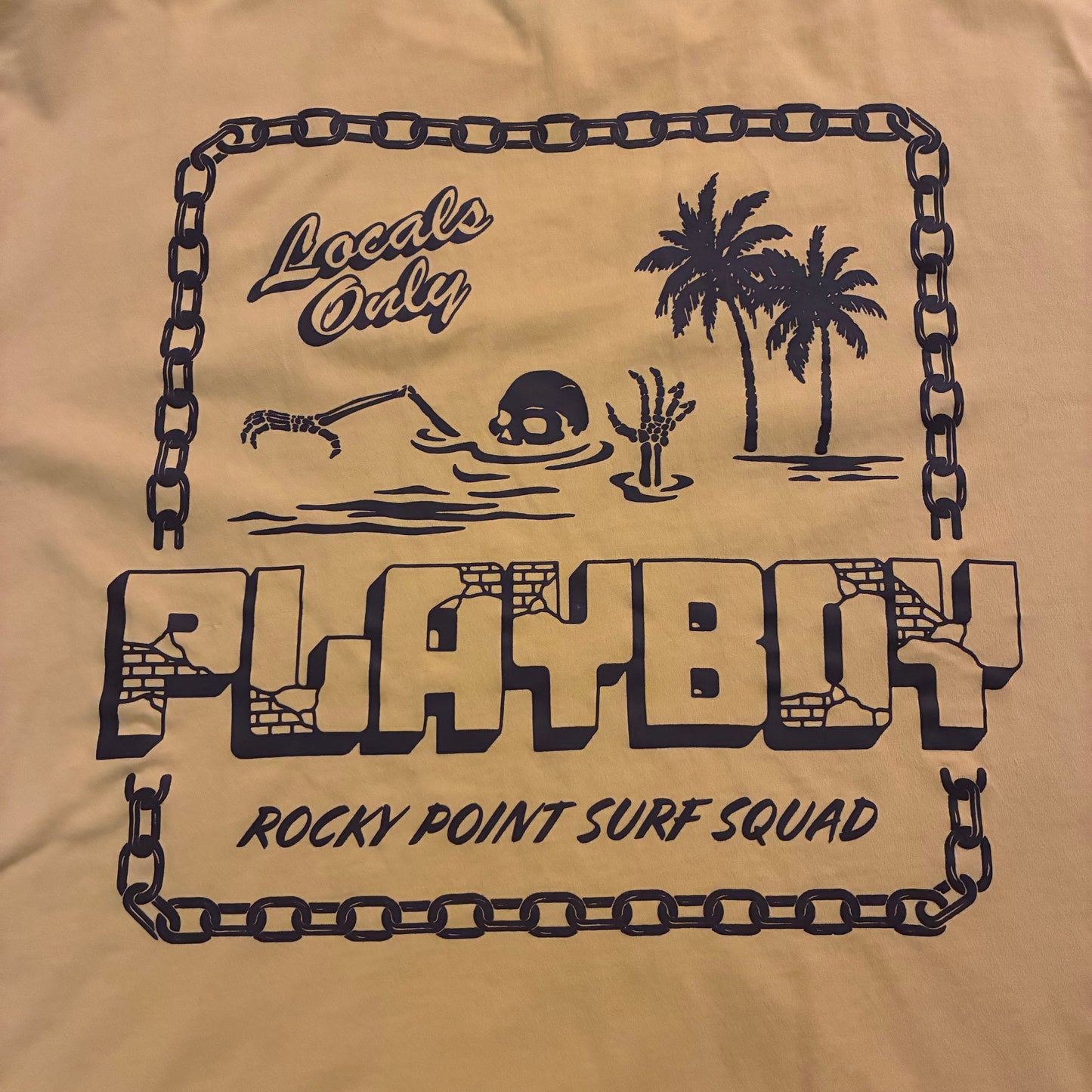 Playboy X Pacsun Graphic Tee (L)