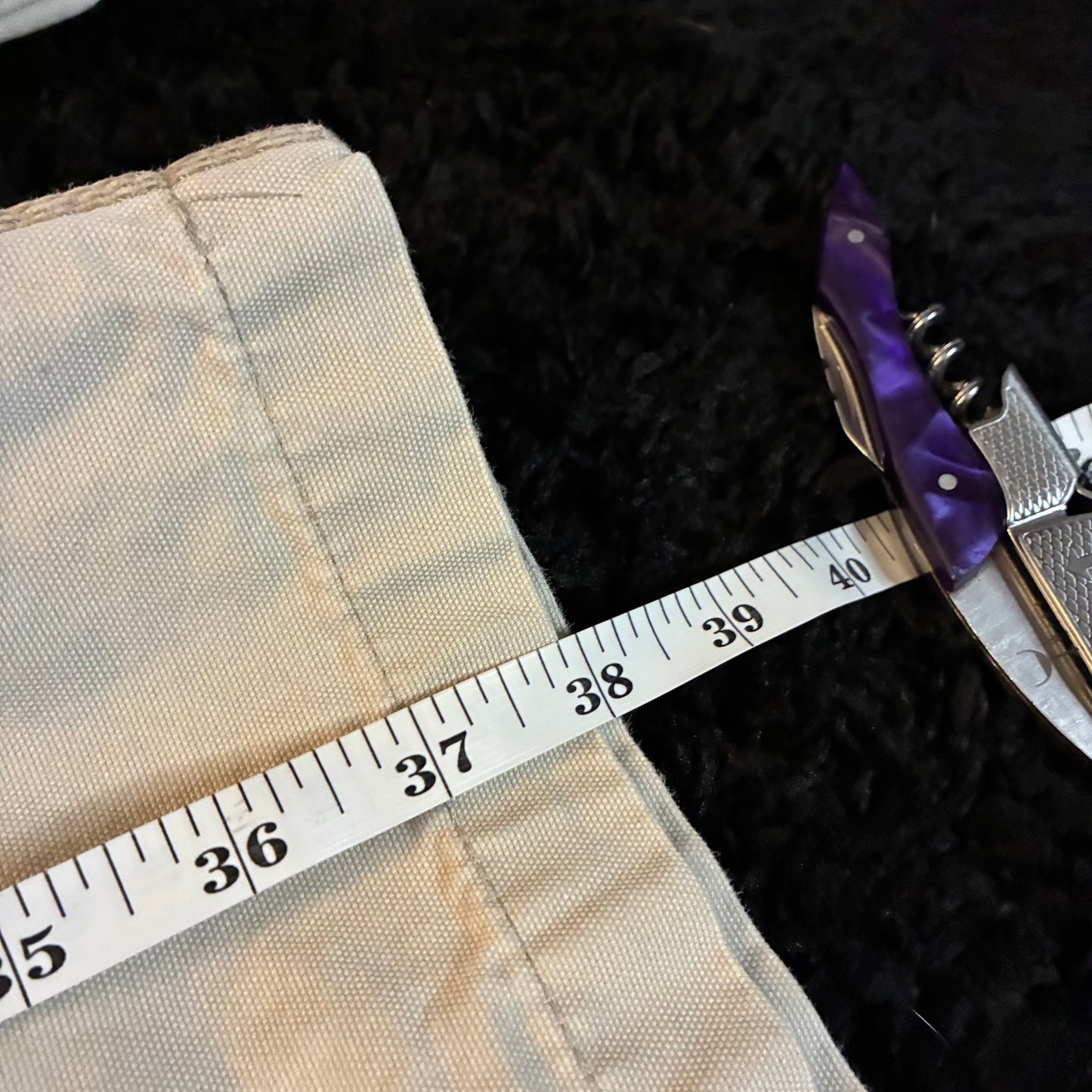 Carhartt Cargo Pants (38x32)