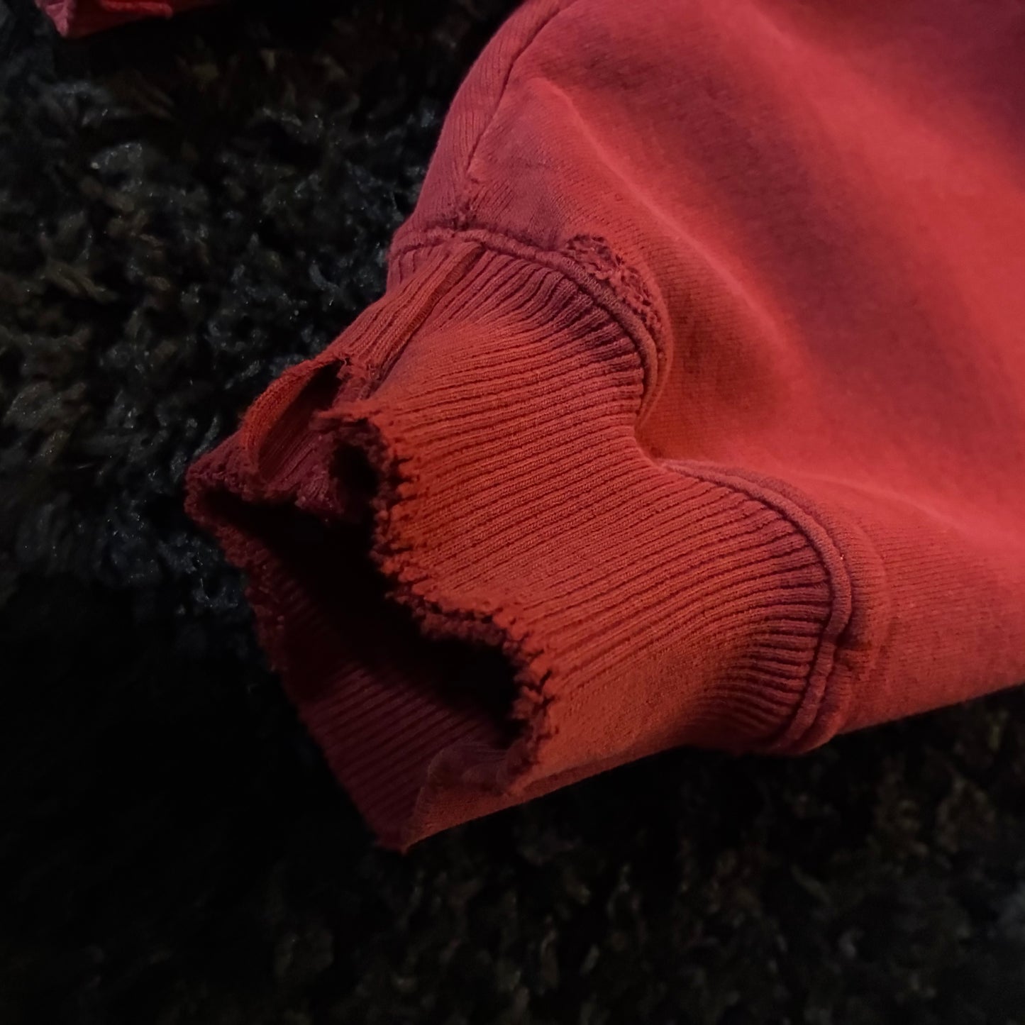 Champion Hoodie (XL)