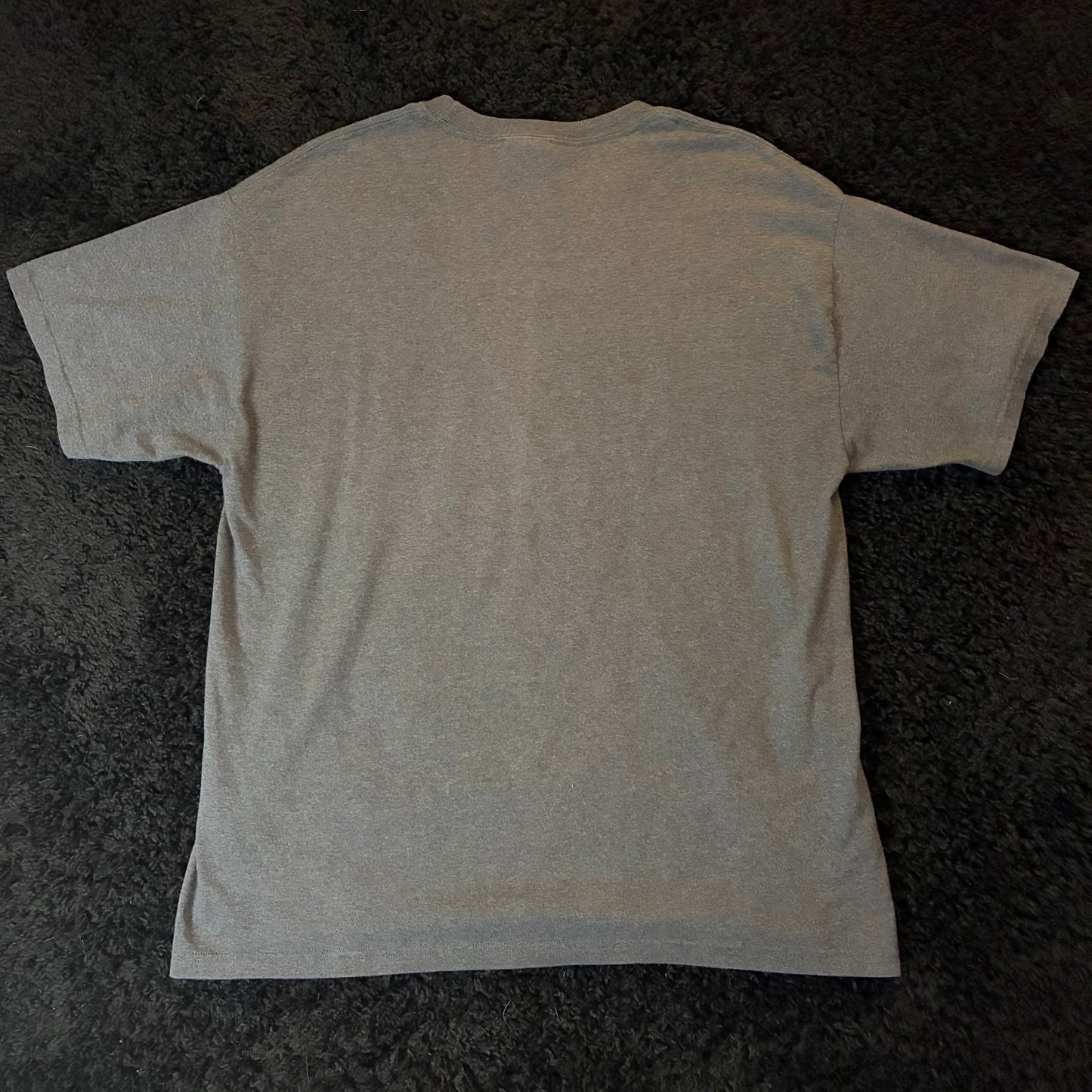 Lynyrd Skynyrd Tee (L)