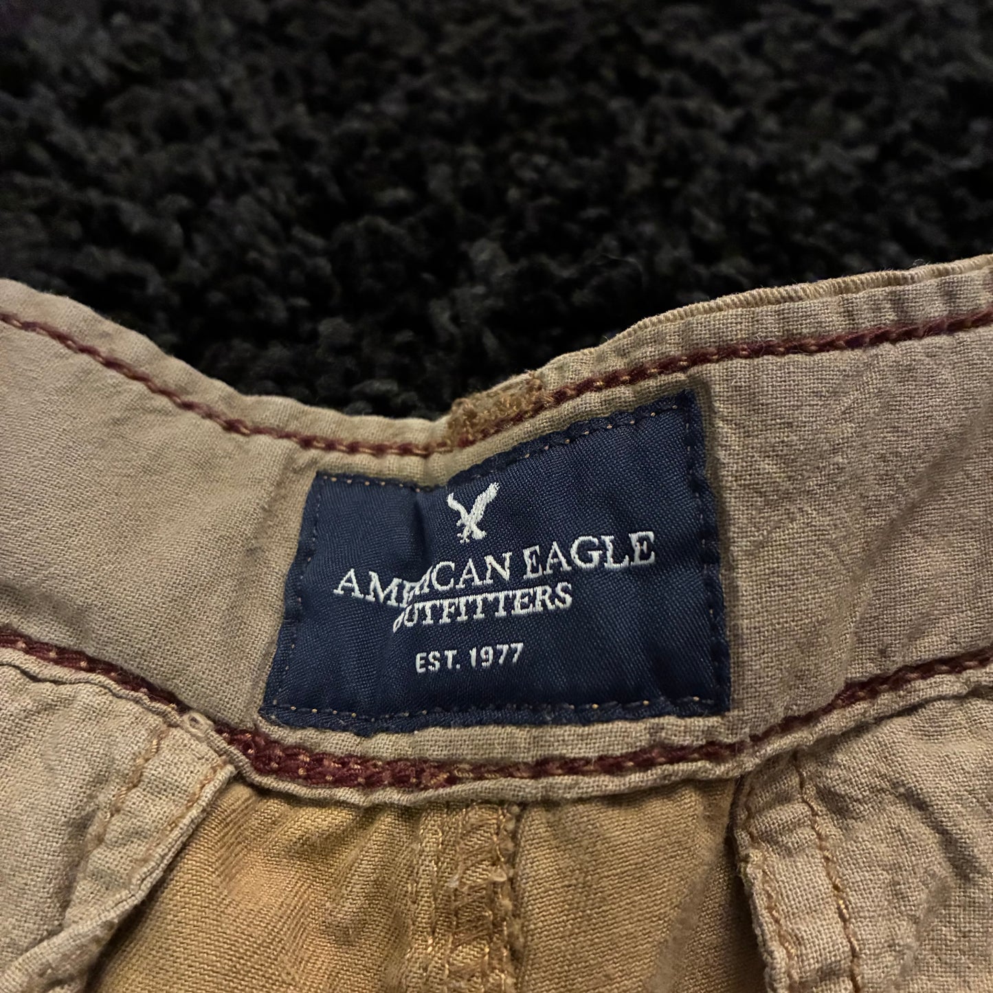 American Eagle Cargo Shorts (30w)