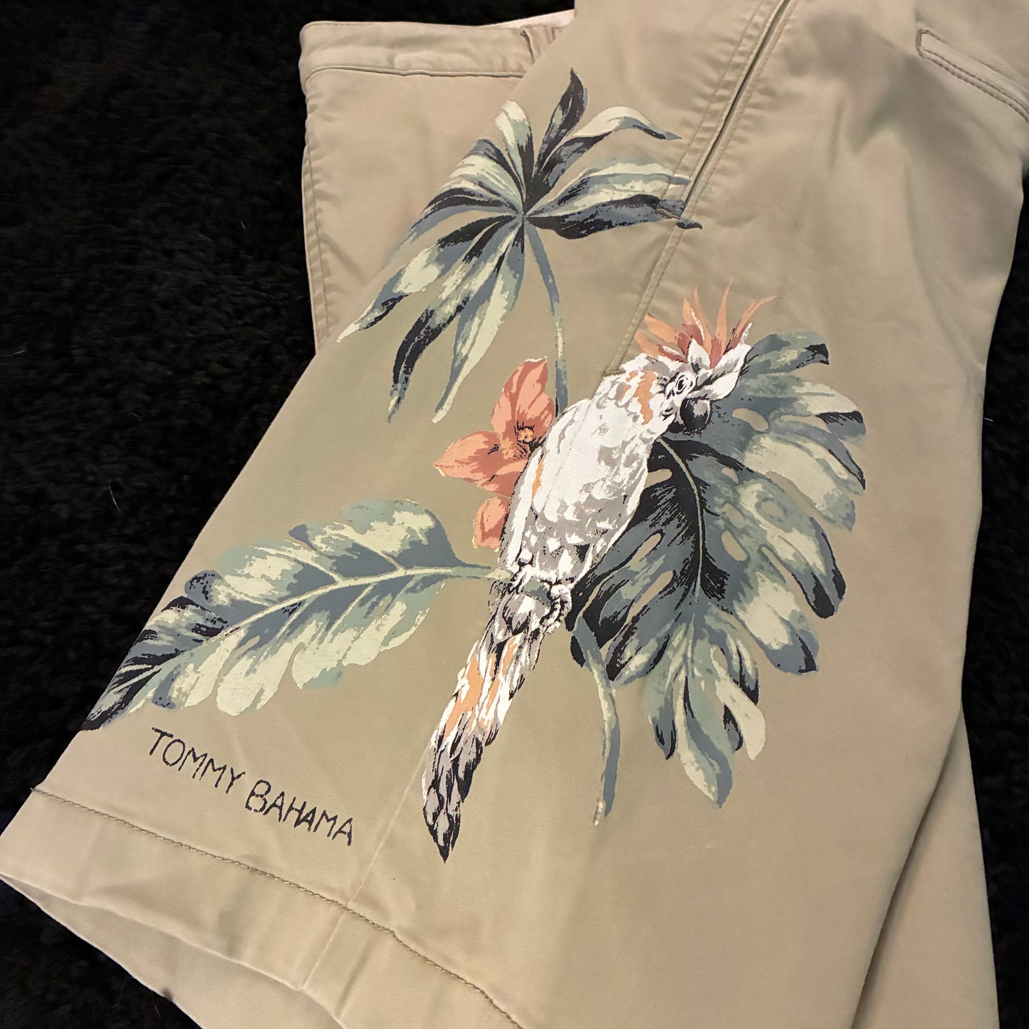 Tommy Bahama Chino Shorts (34w)