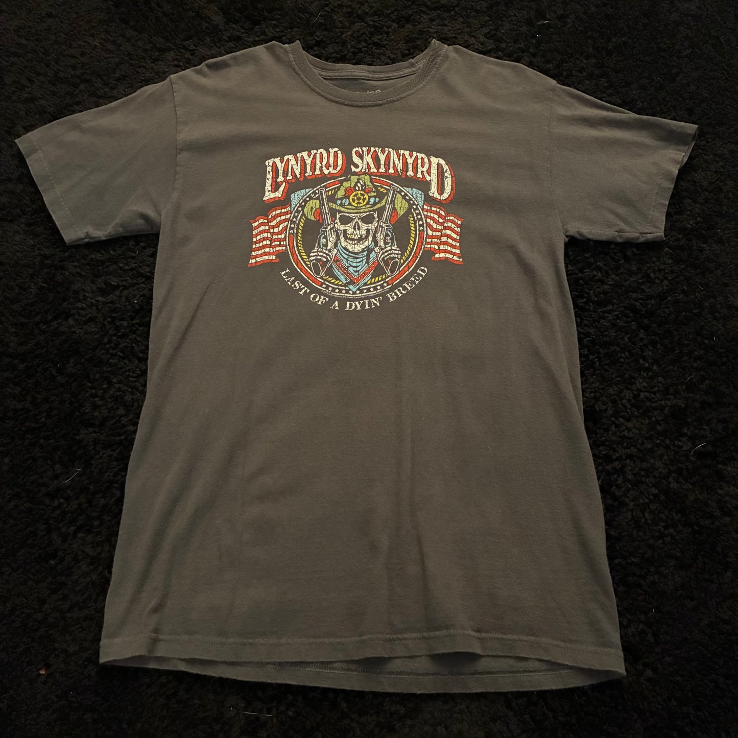 Lynyrd Skynyrd Graphic Tee (M)