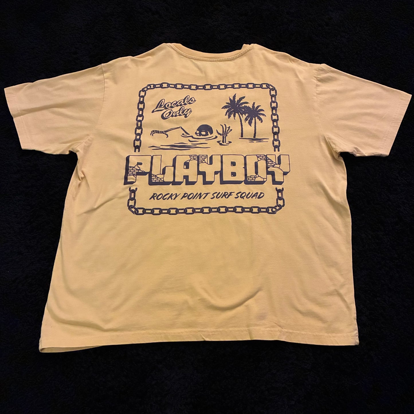 Playboy X Pacsun Graphic Tee (L)