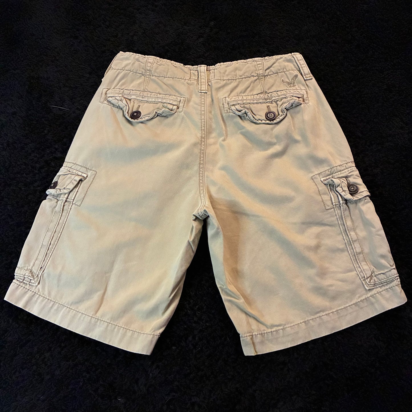 American Eagle Cargo Shorts (30w)