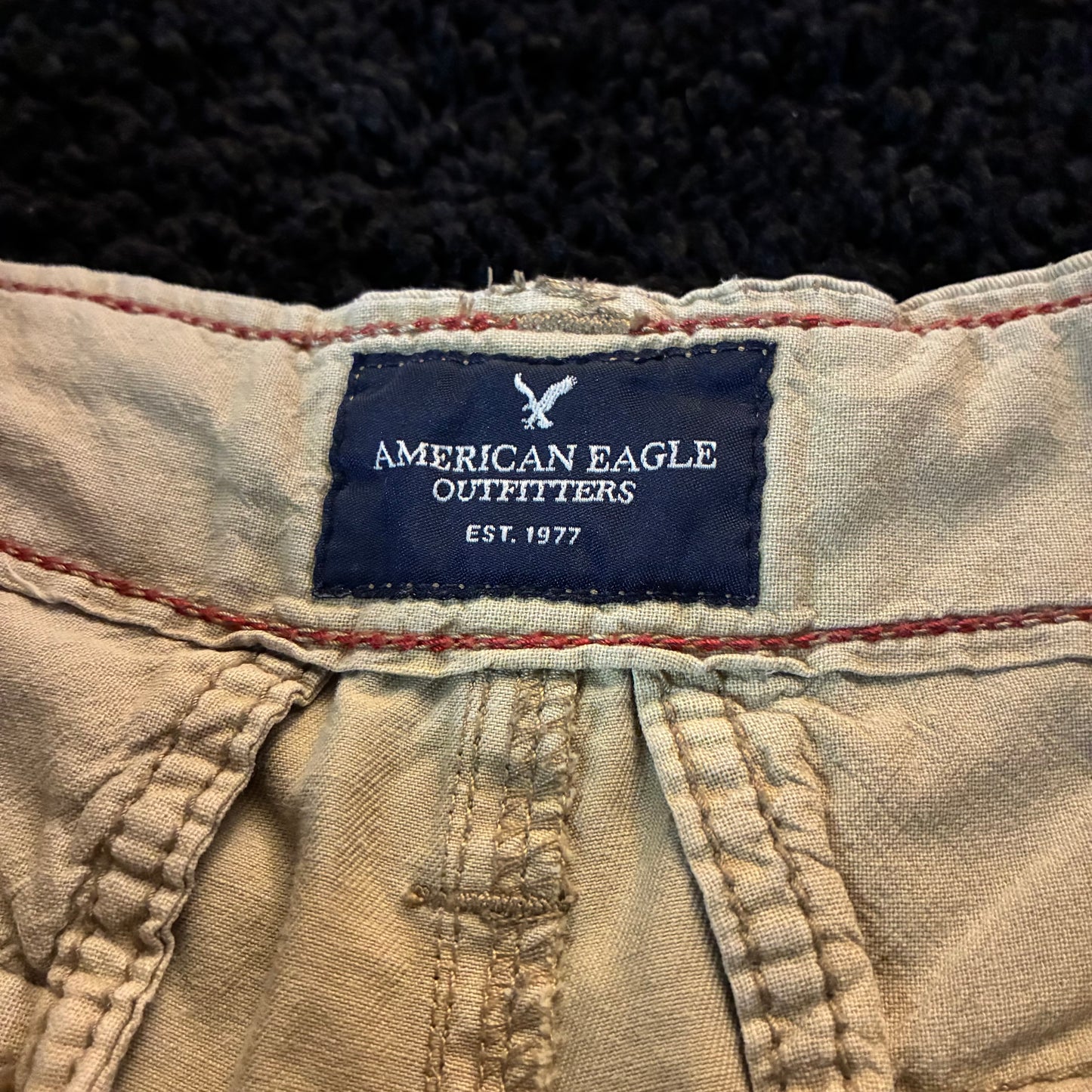 American Eagle Cargo Shorts (30w)