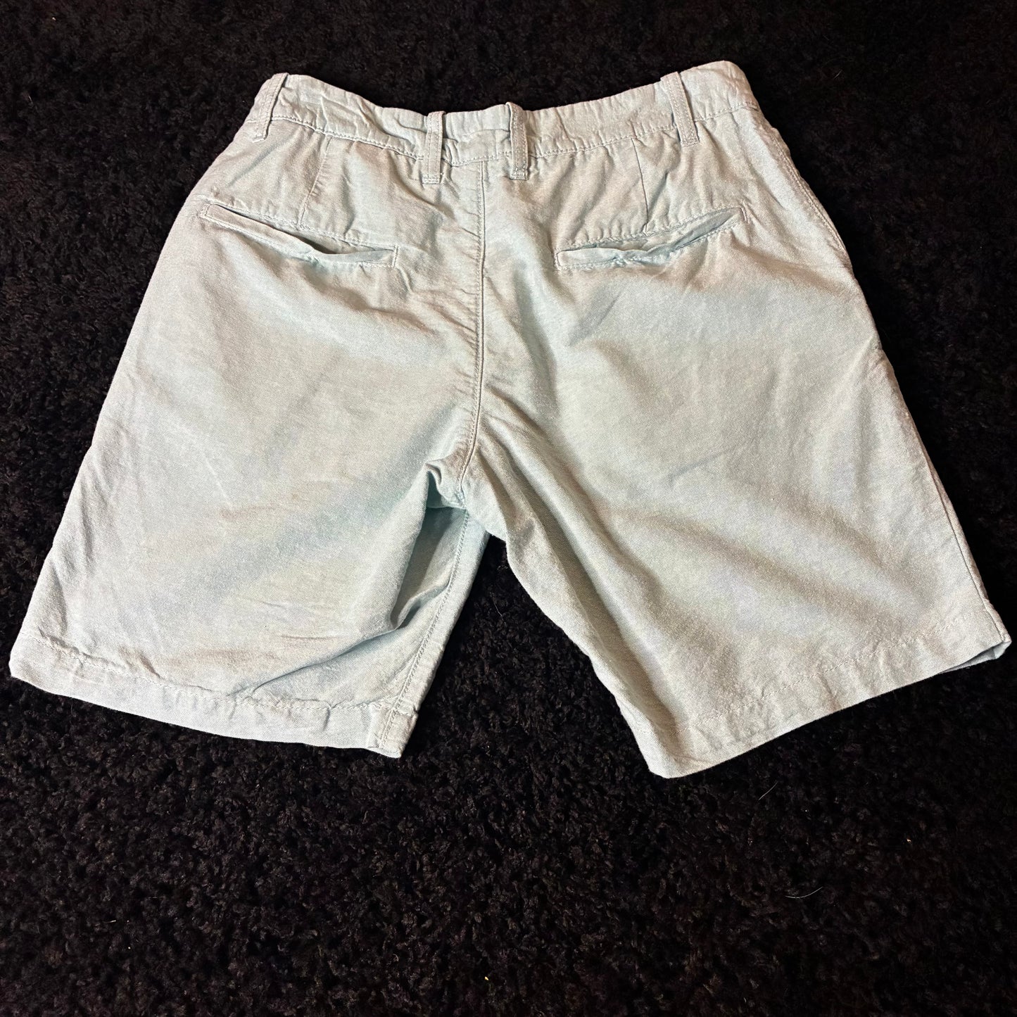 H&M Casual Shorts (29w)