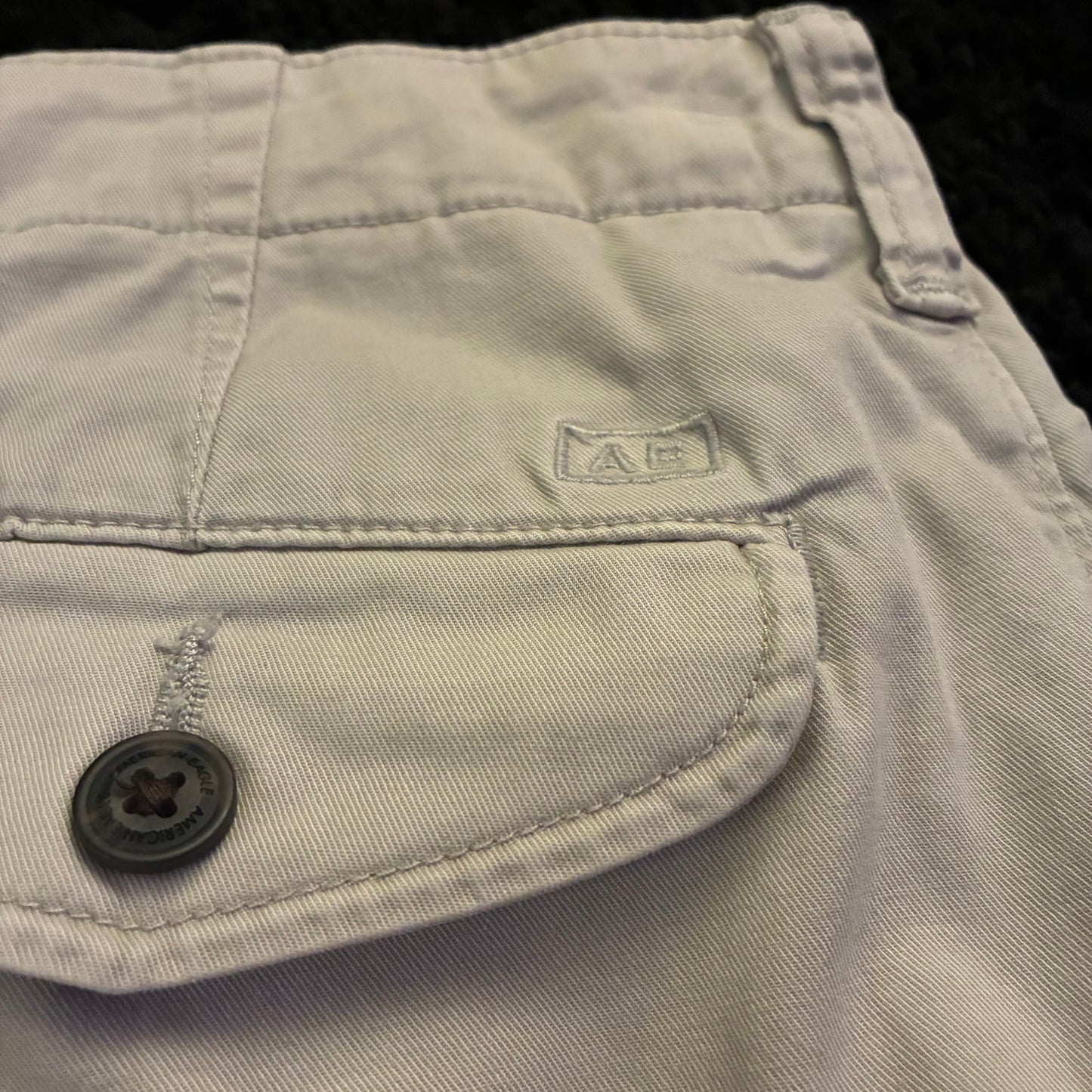 American Eagle Chino Shorts (29w)