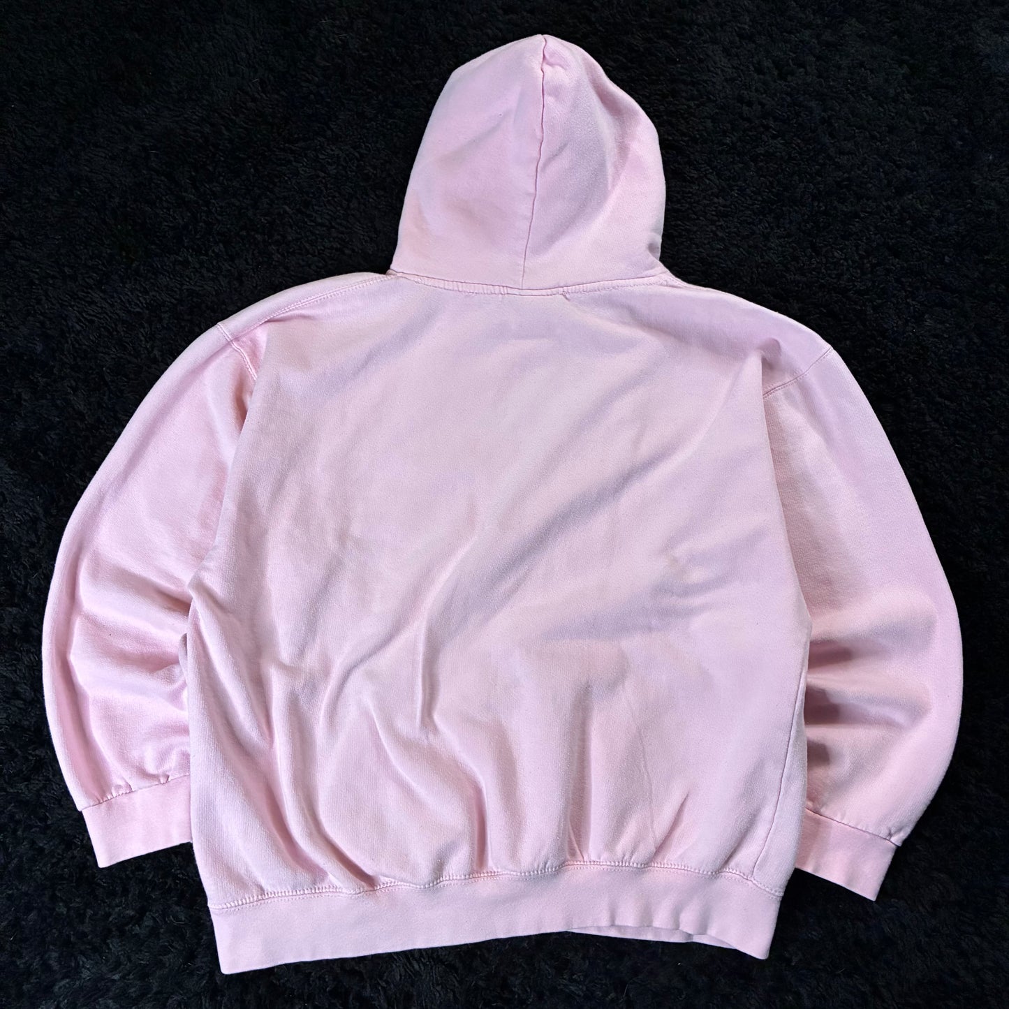 Virginia Beach Hoodie (L - Fits S)