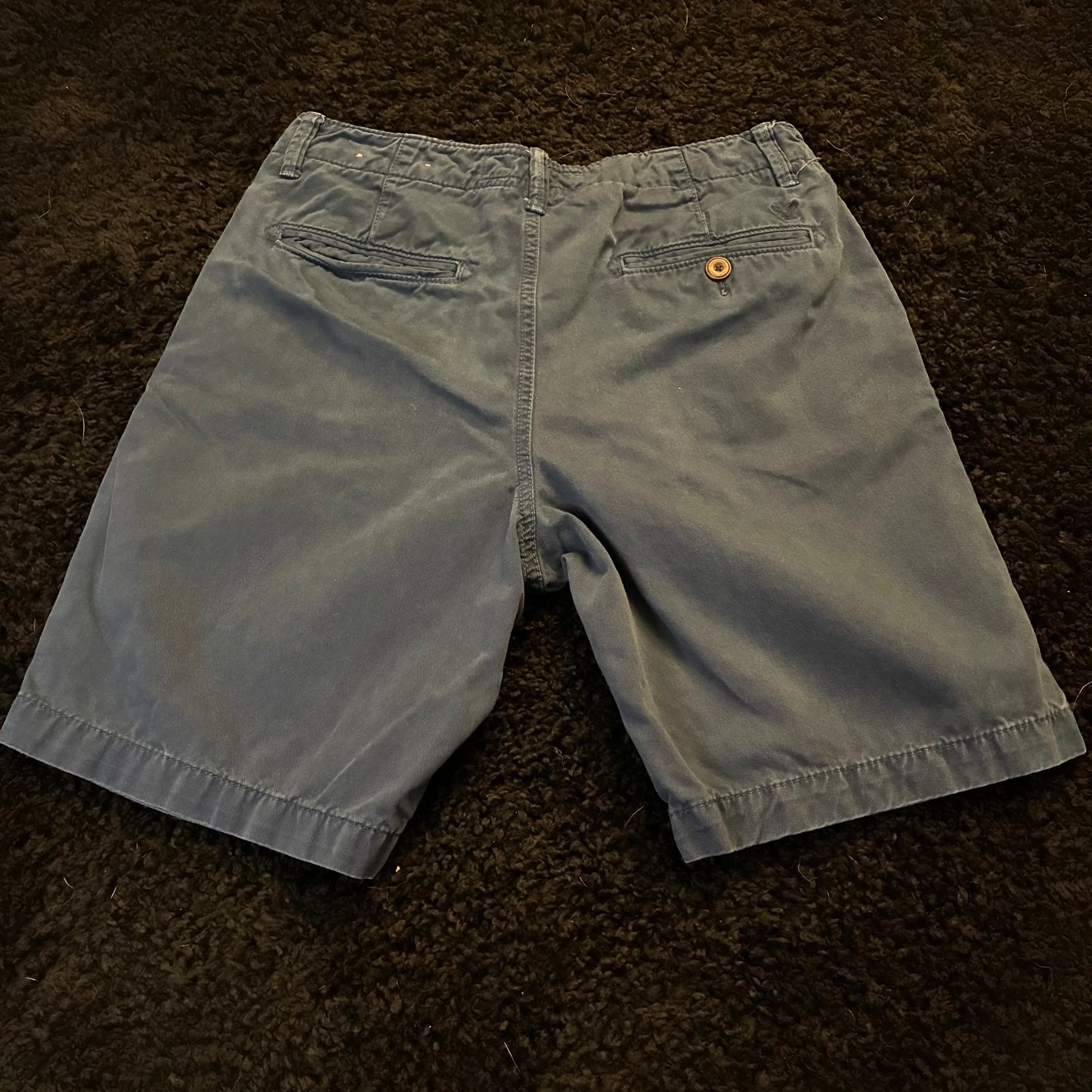 American Eagle Chino Shorts (30w)