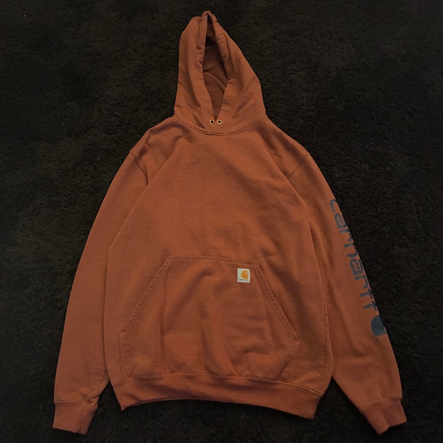 Carhartt Hoodie (M)