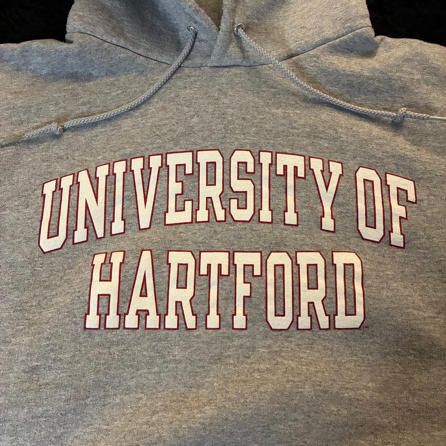 Champion University of Hartford Hoodie (XL)
