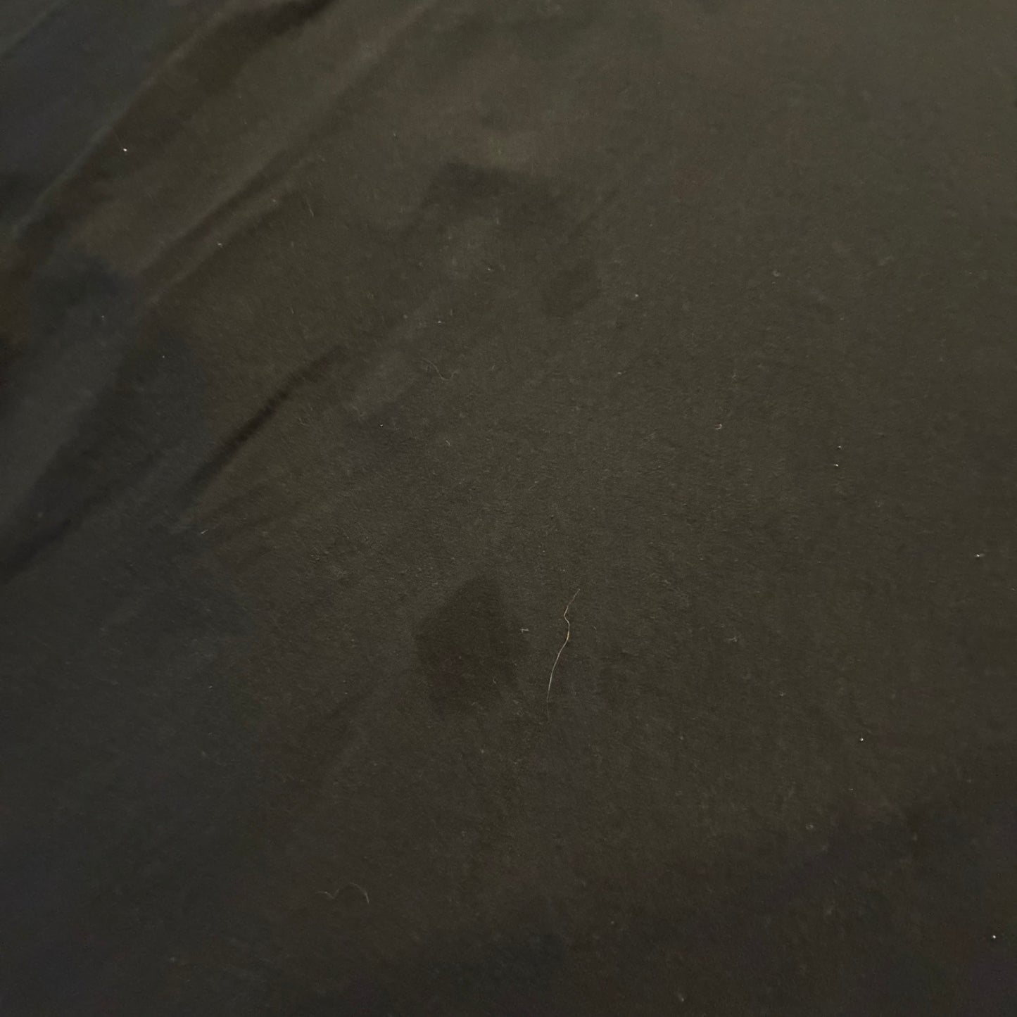 Nokota Horse Conservancy (2XL)