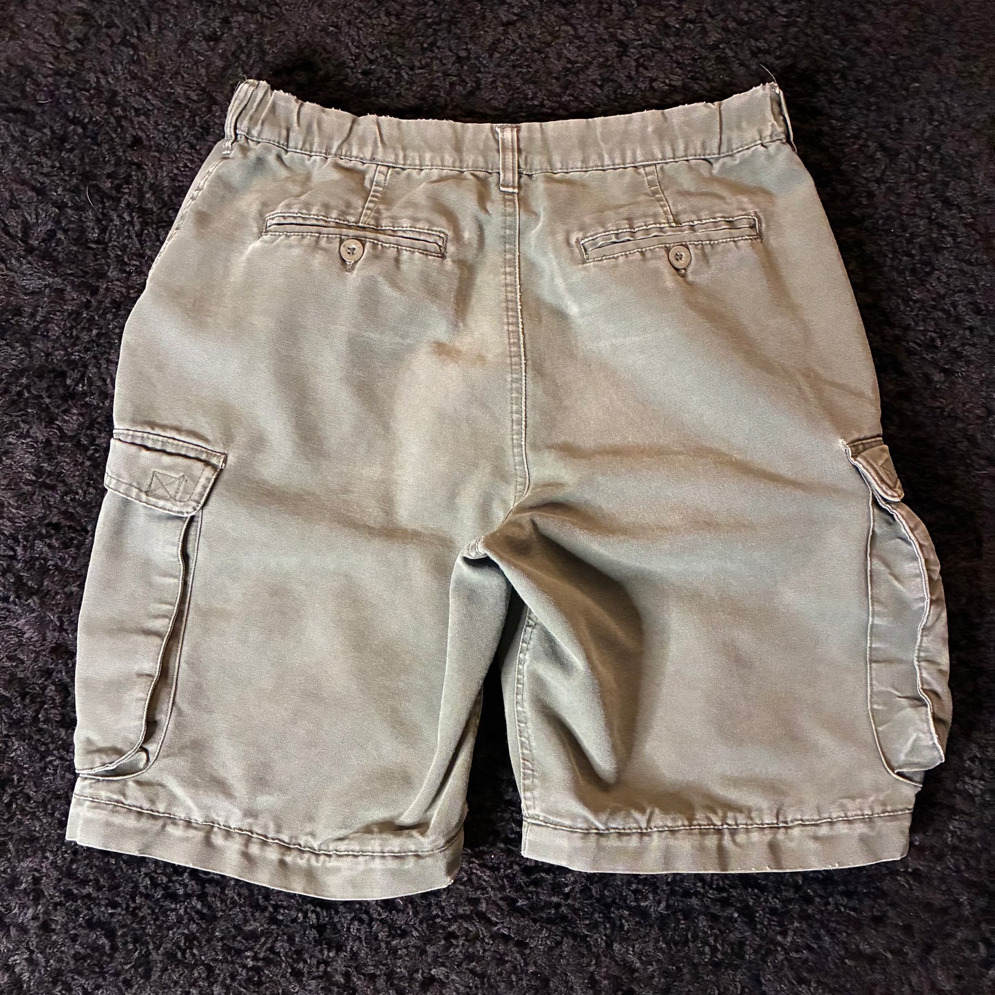 Boy Scouts of America Cargo Shorts (30w)