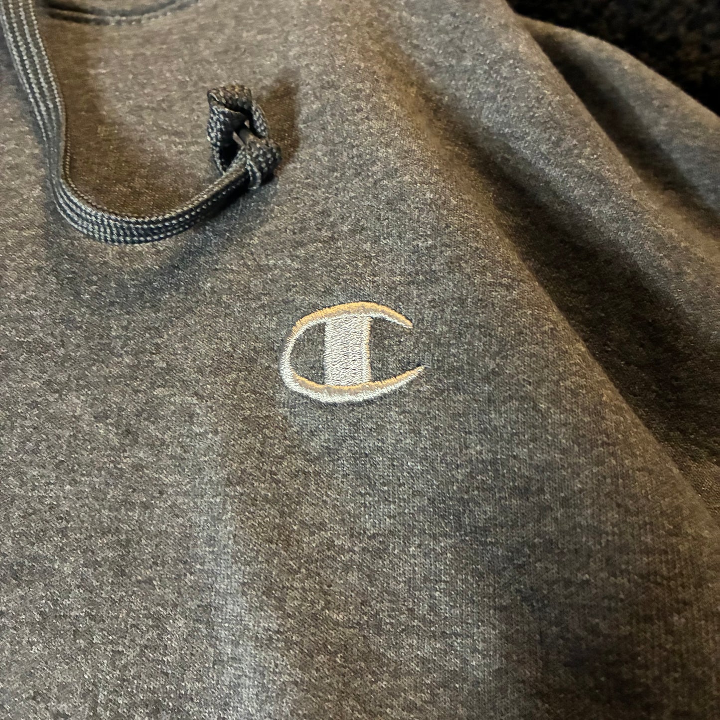 Champion Hoodie (L)