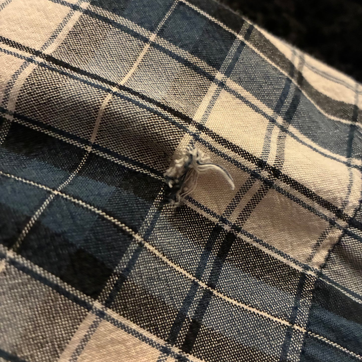 Carhartt Two-Pocket Button-Down (M)