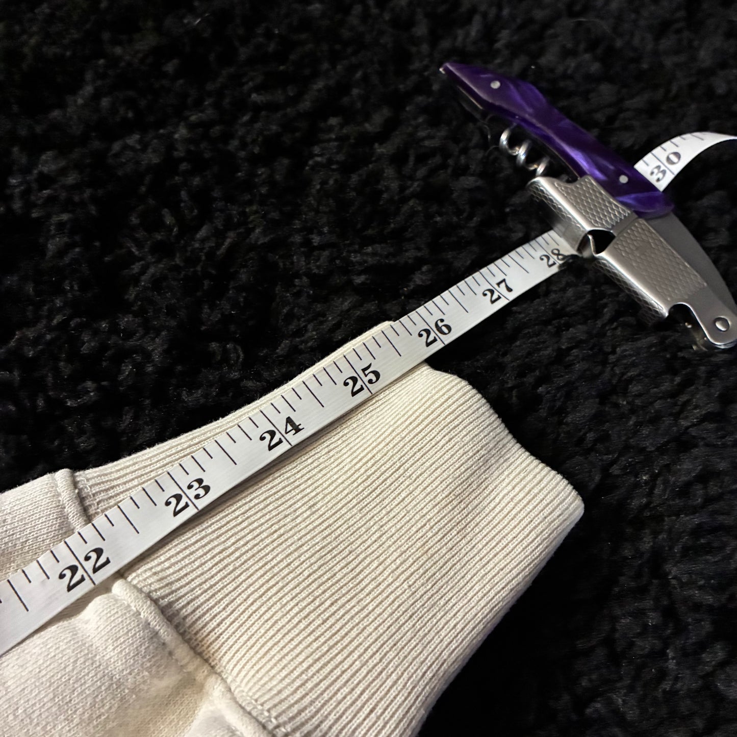 Champion Reverse-Weave Hoodie (S)