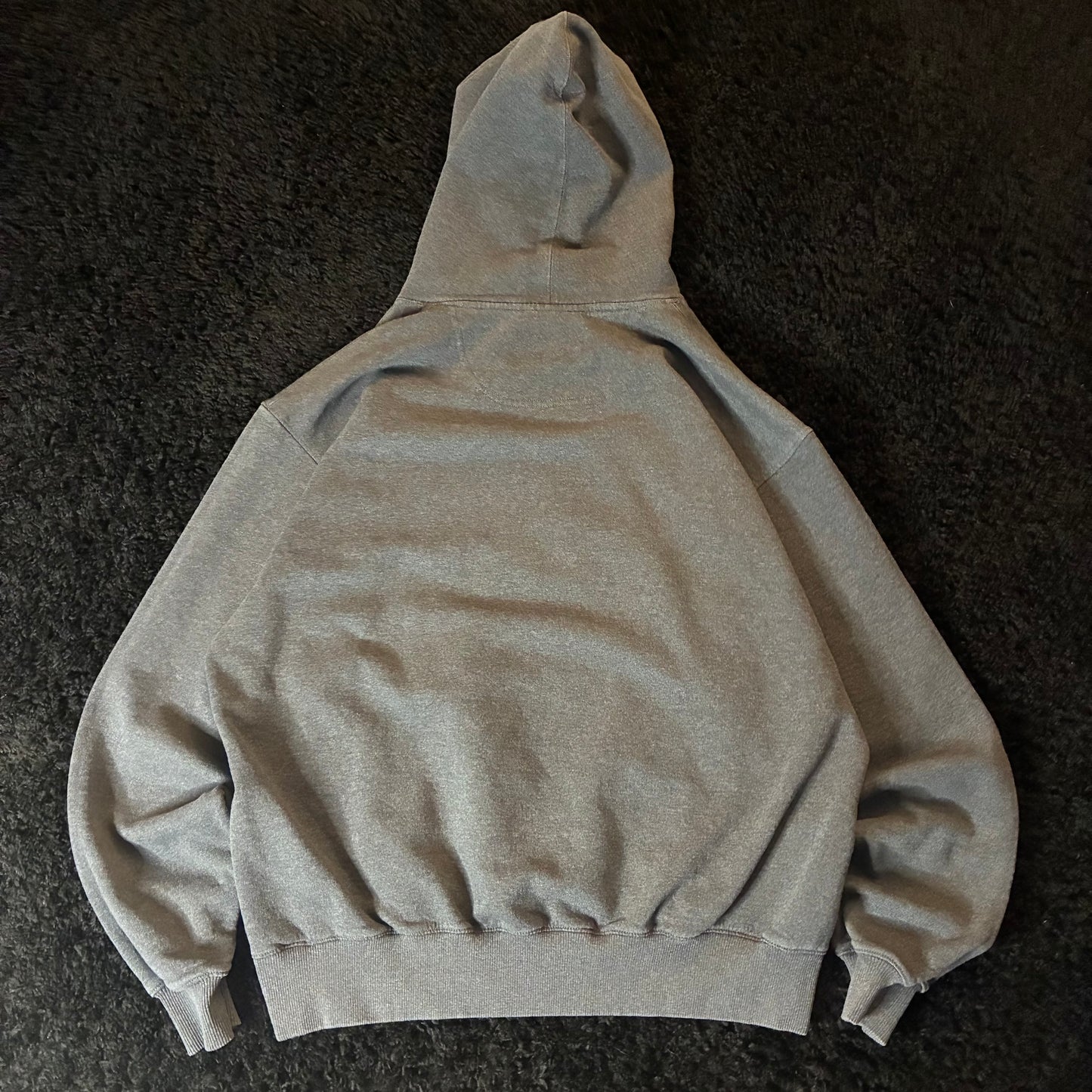 Champion Hoodie (L)