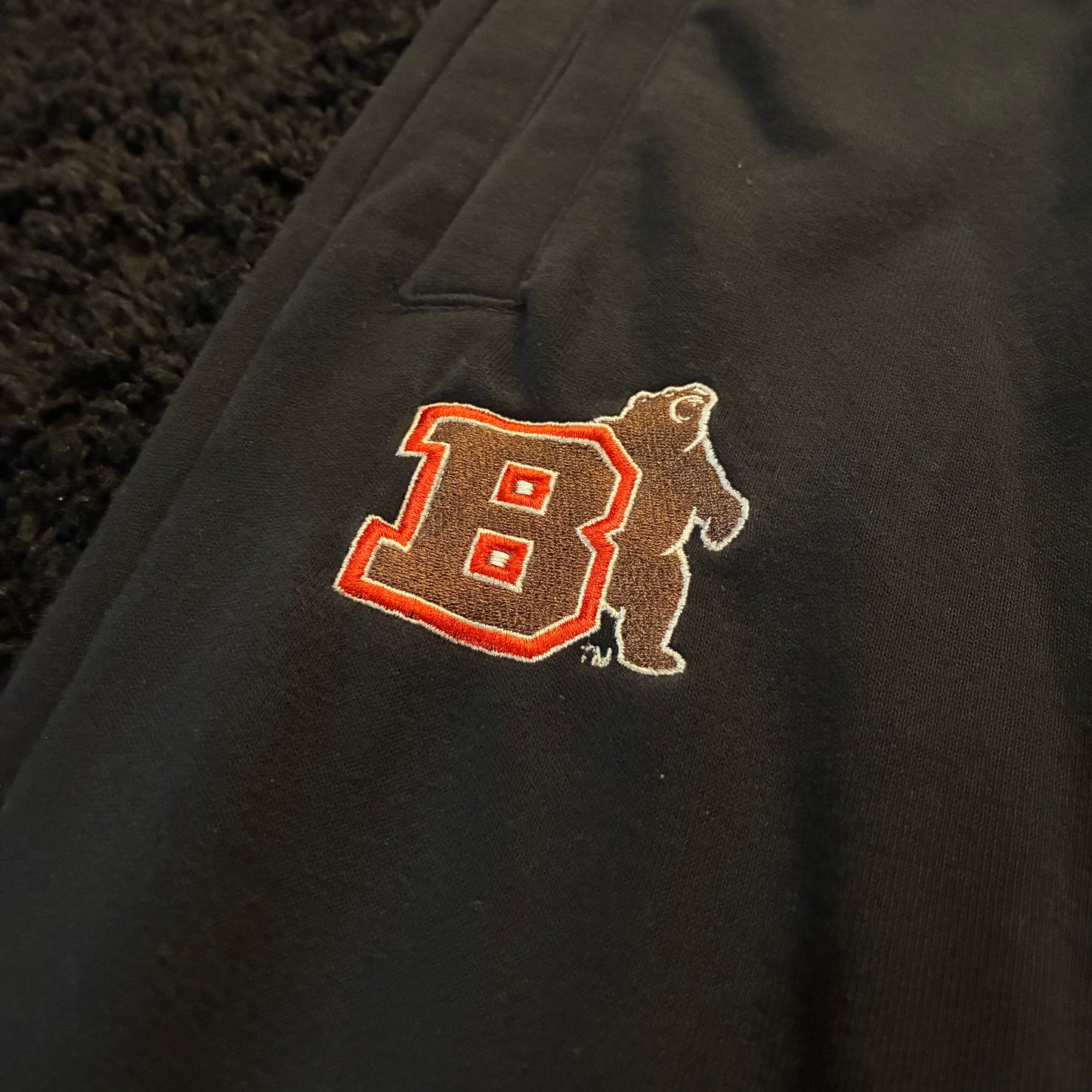 Air Jordan Brown University Bears Joggers (L)
