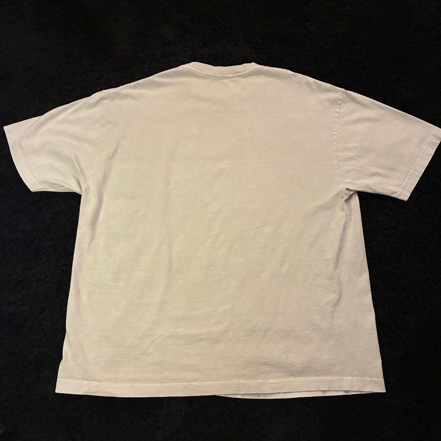 Pacsun Graphic Tee (L)