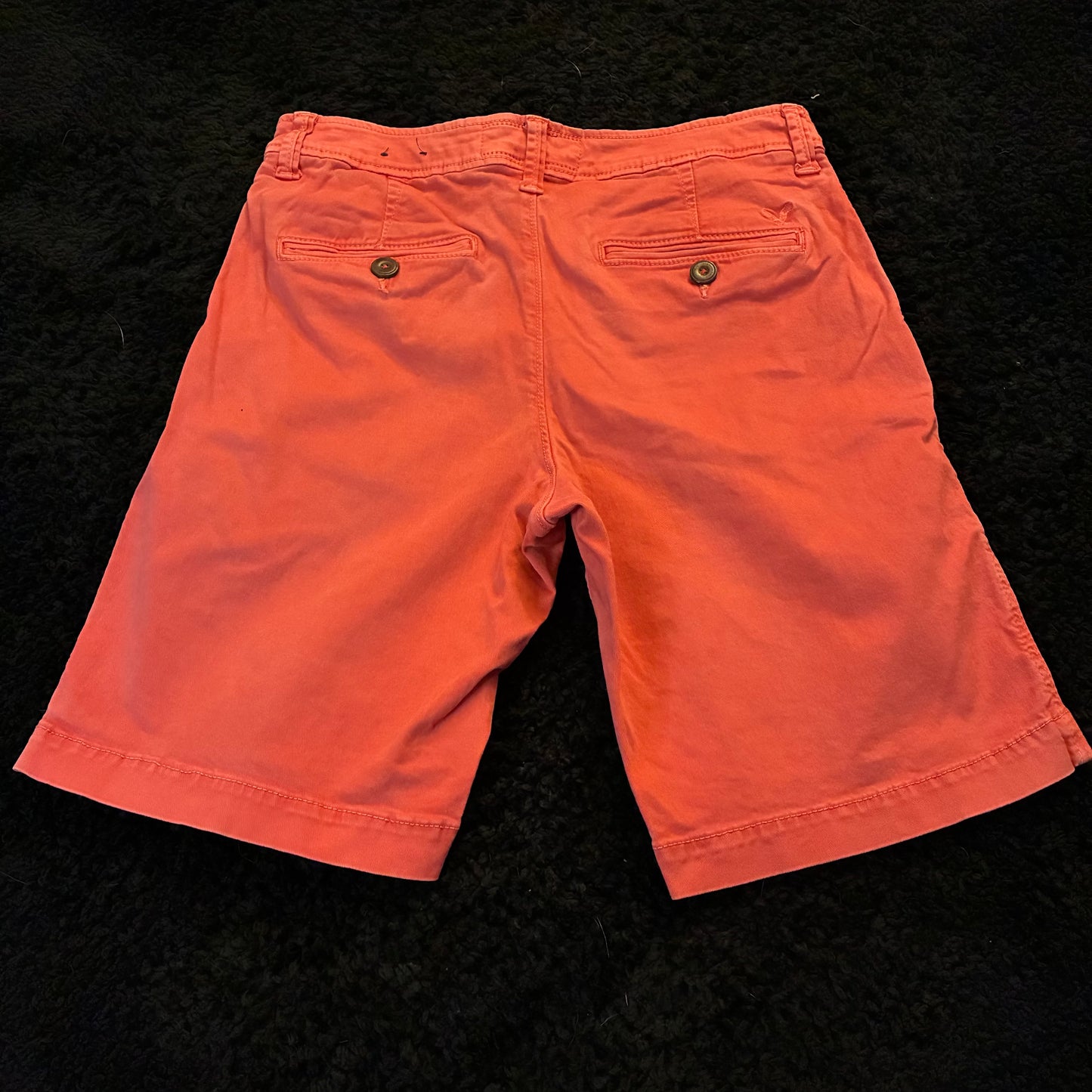 American Eagle Chino Shorts (30w)