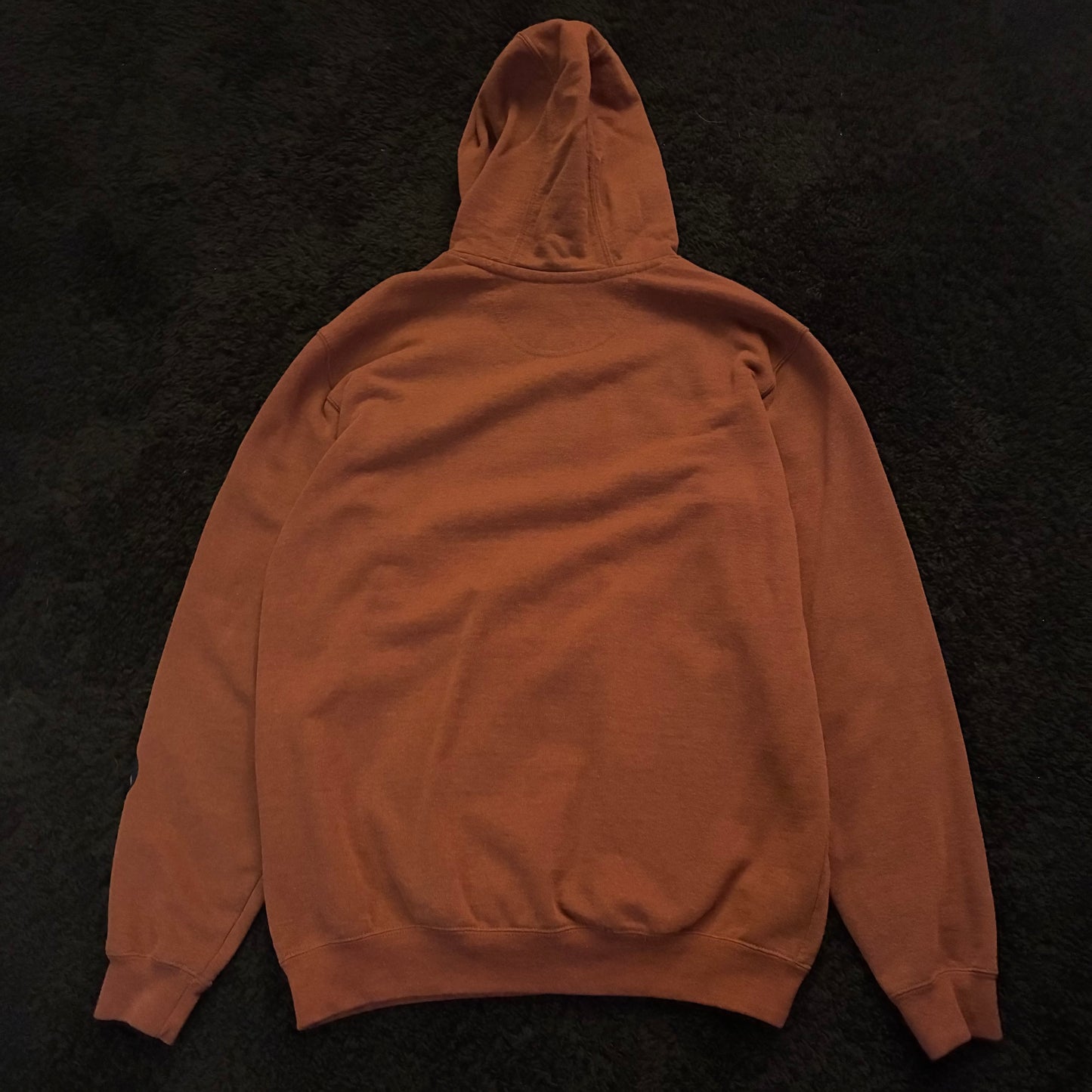 Carhartt Hoodie (M)