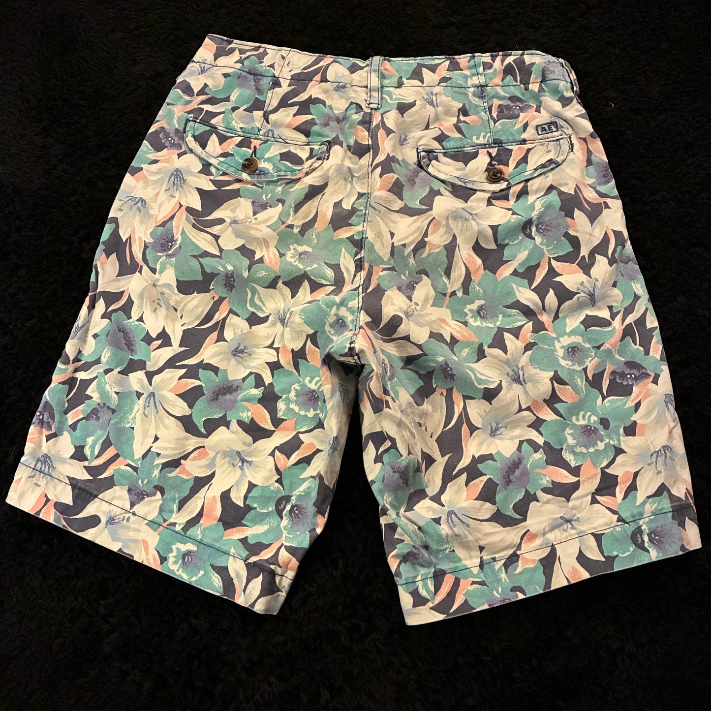 American Eagle Floral Pattern Chino Shorts (28w)