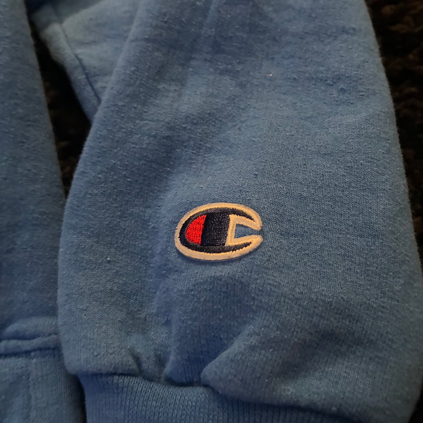 Champion Crewneck (L)