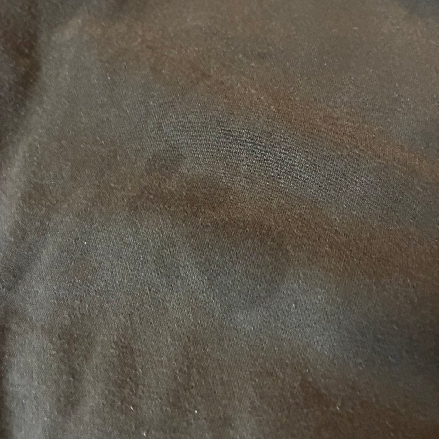 Champion Crewneck (L)