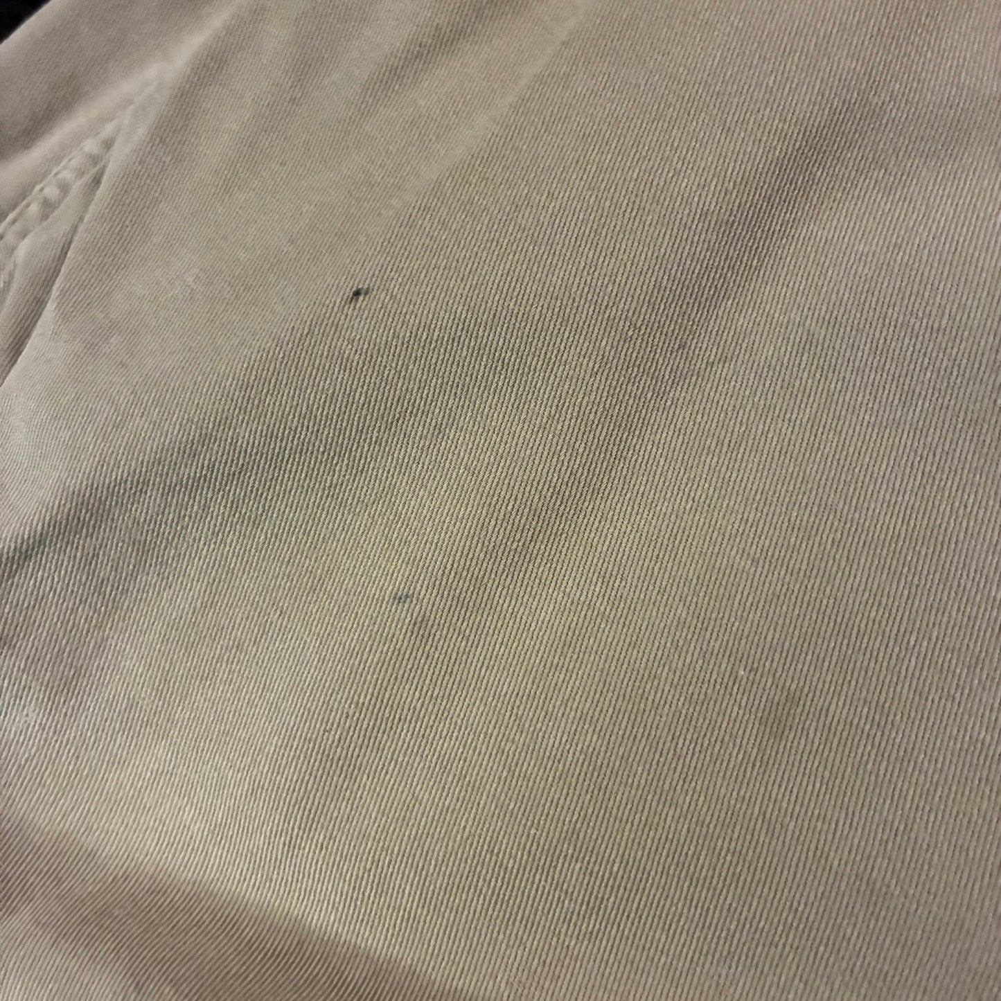Wrangler Insulated Cargo Pants (38x30)
