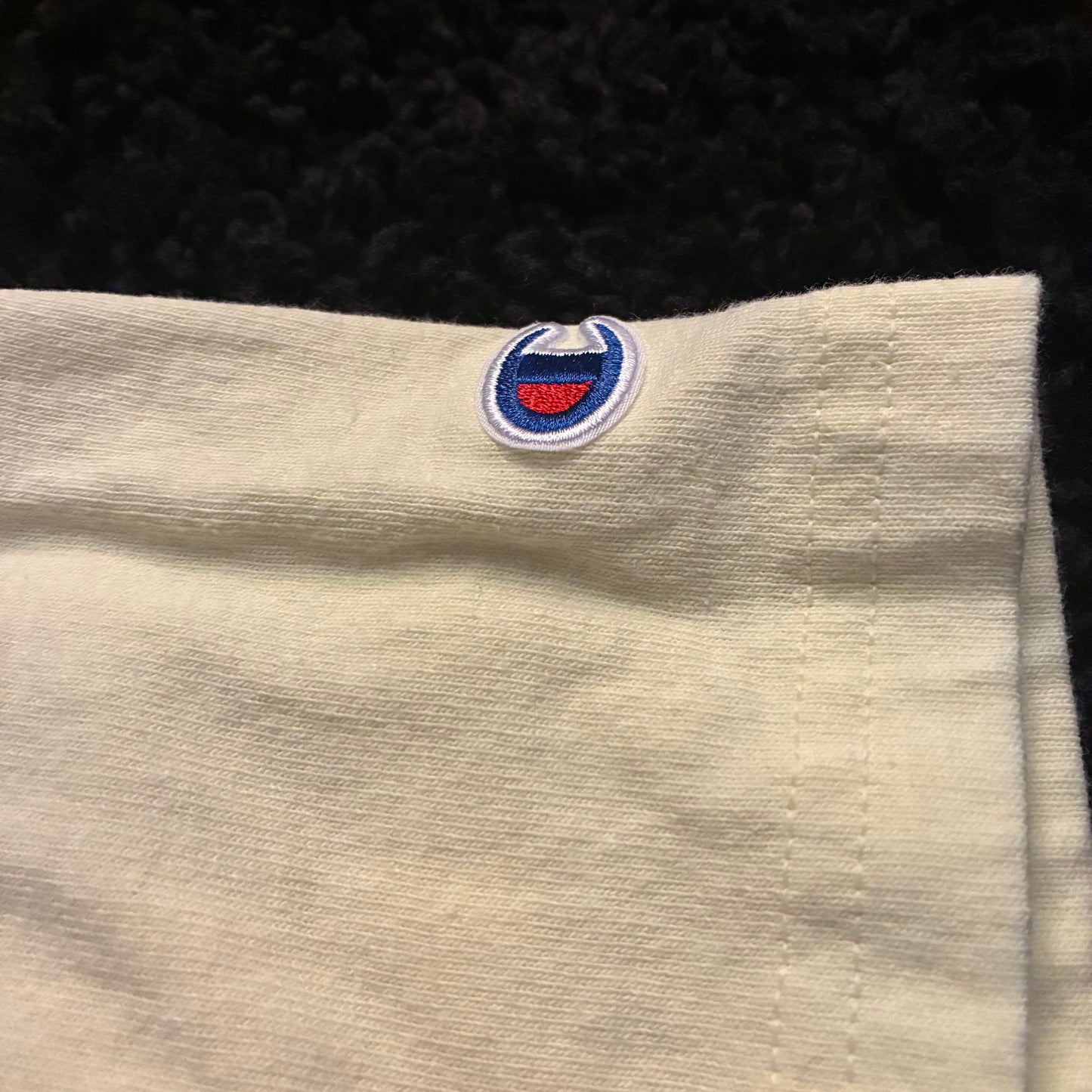 Champion Logo Tee (L)
