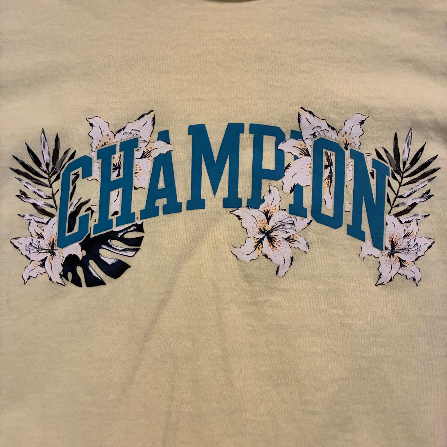 Champion Logo Tee (L)