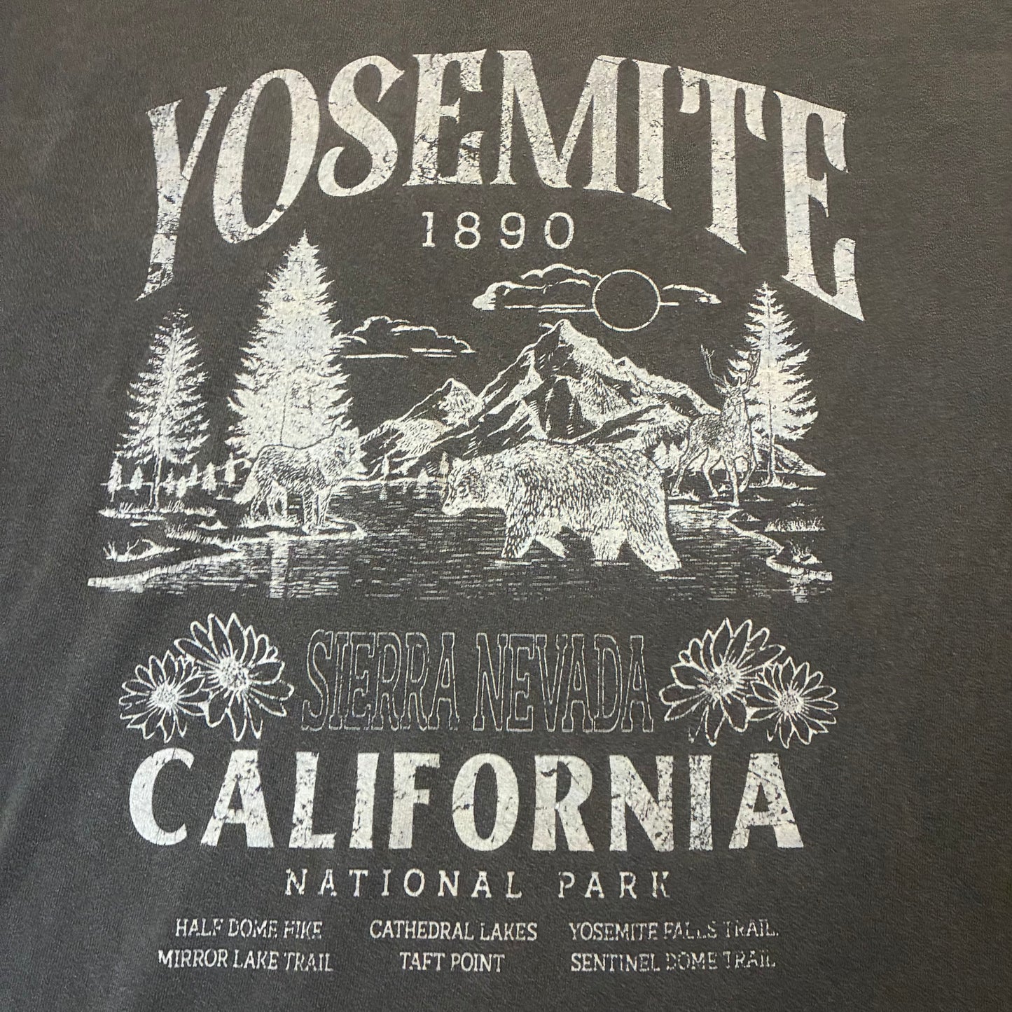 Yosemite California Tee (M)