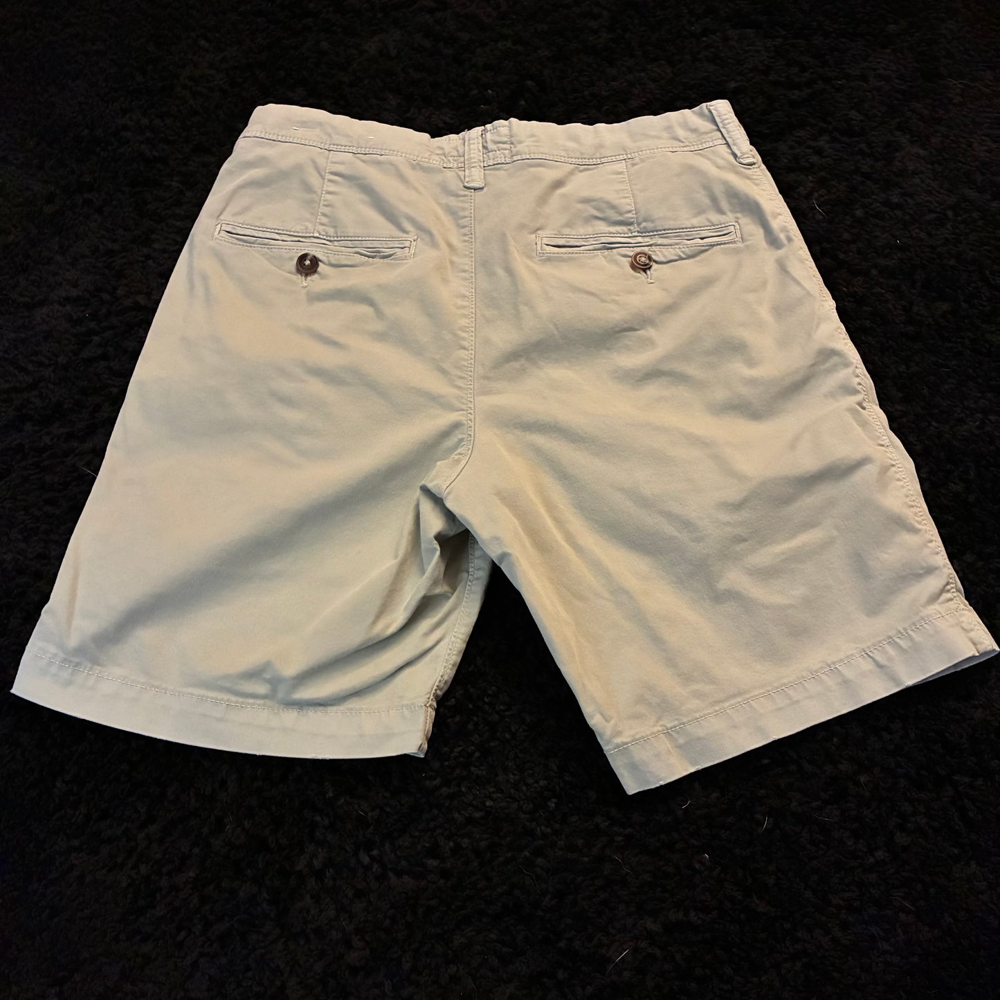 American Eagle Chino Shorts (29w)