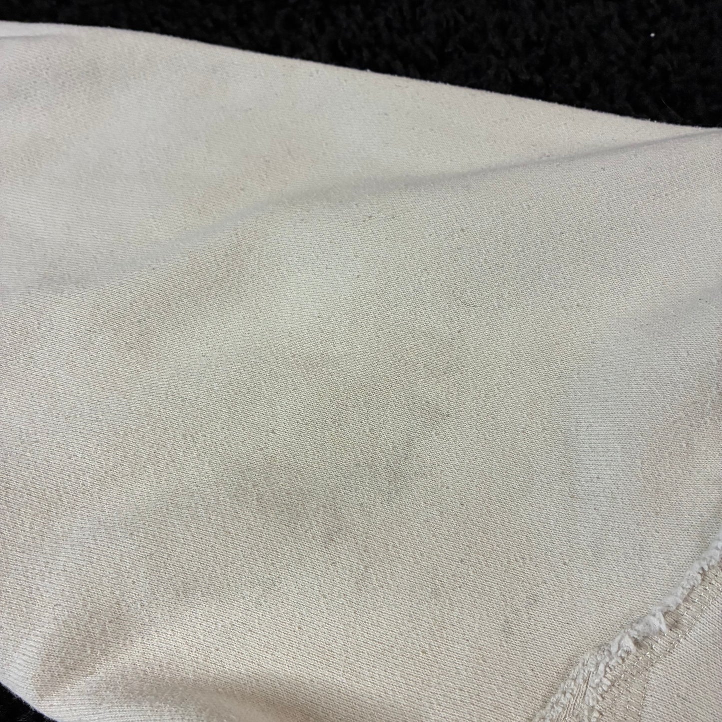 Champion Reverse-Weave Hoodie (S)