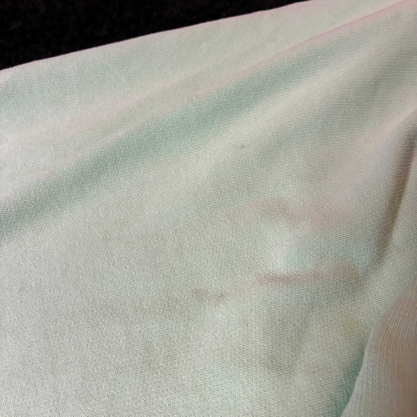 Fort Myers Beach Florida Hoodie (L)