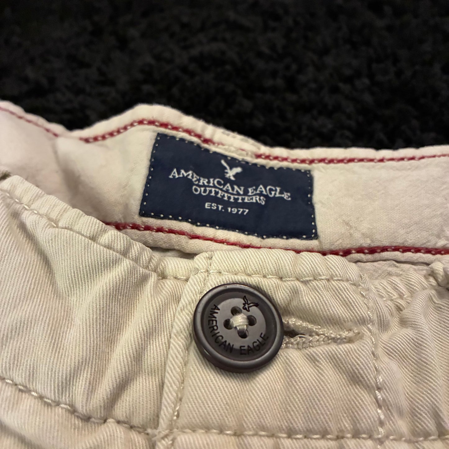American Eagle Cargo Shorts (30w)