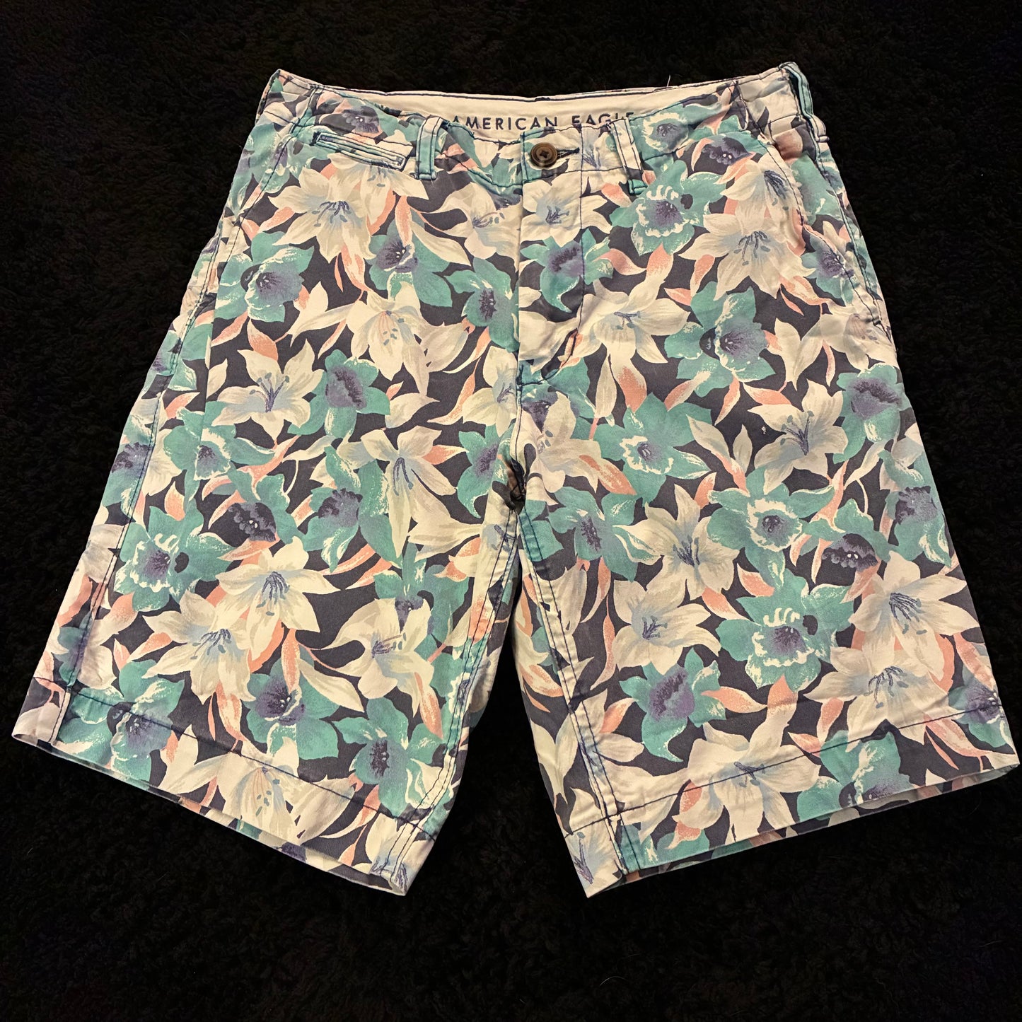 American Eagle Floral Pattern Chino Shorts (28w)