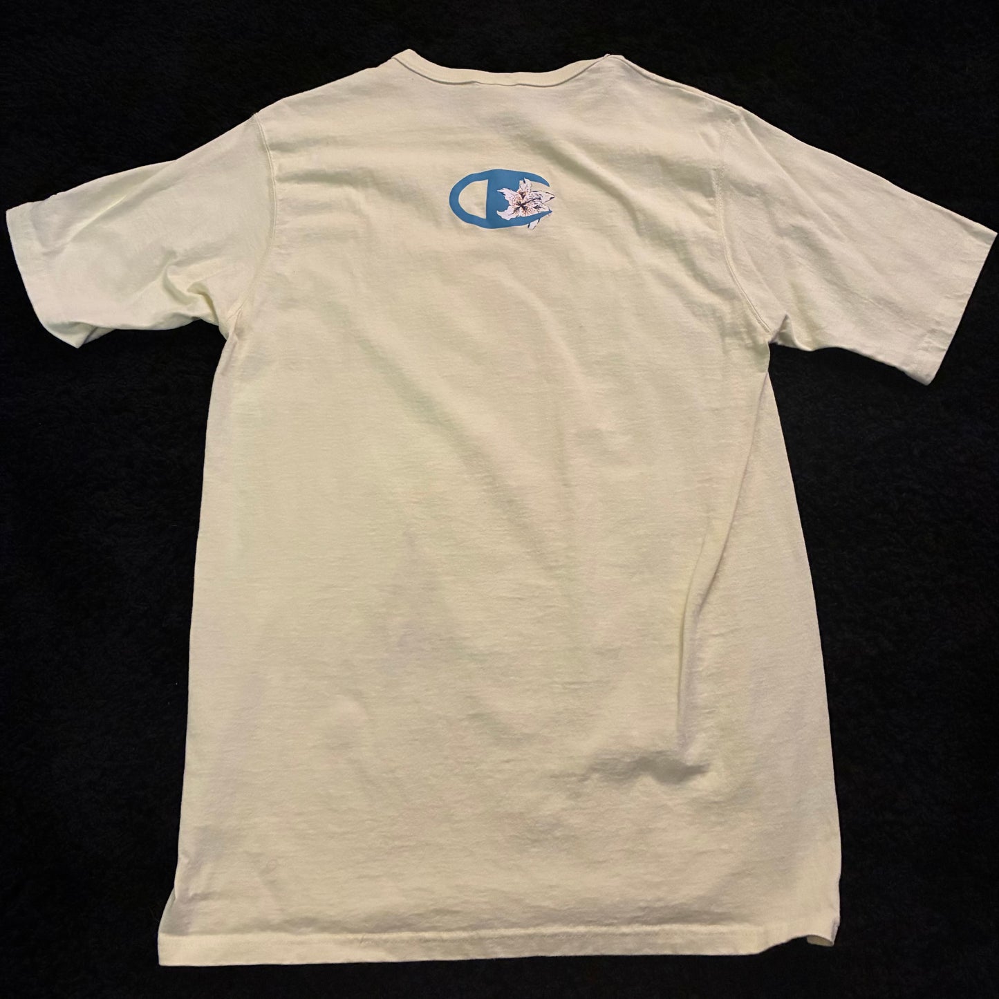 Champion Logo Tee (L)