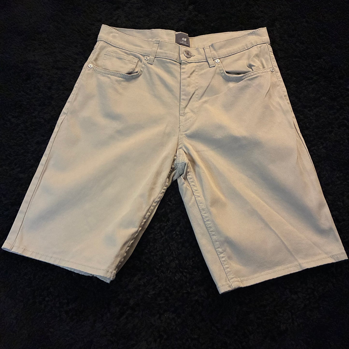 H&M Chino Shorts (30w)