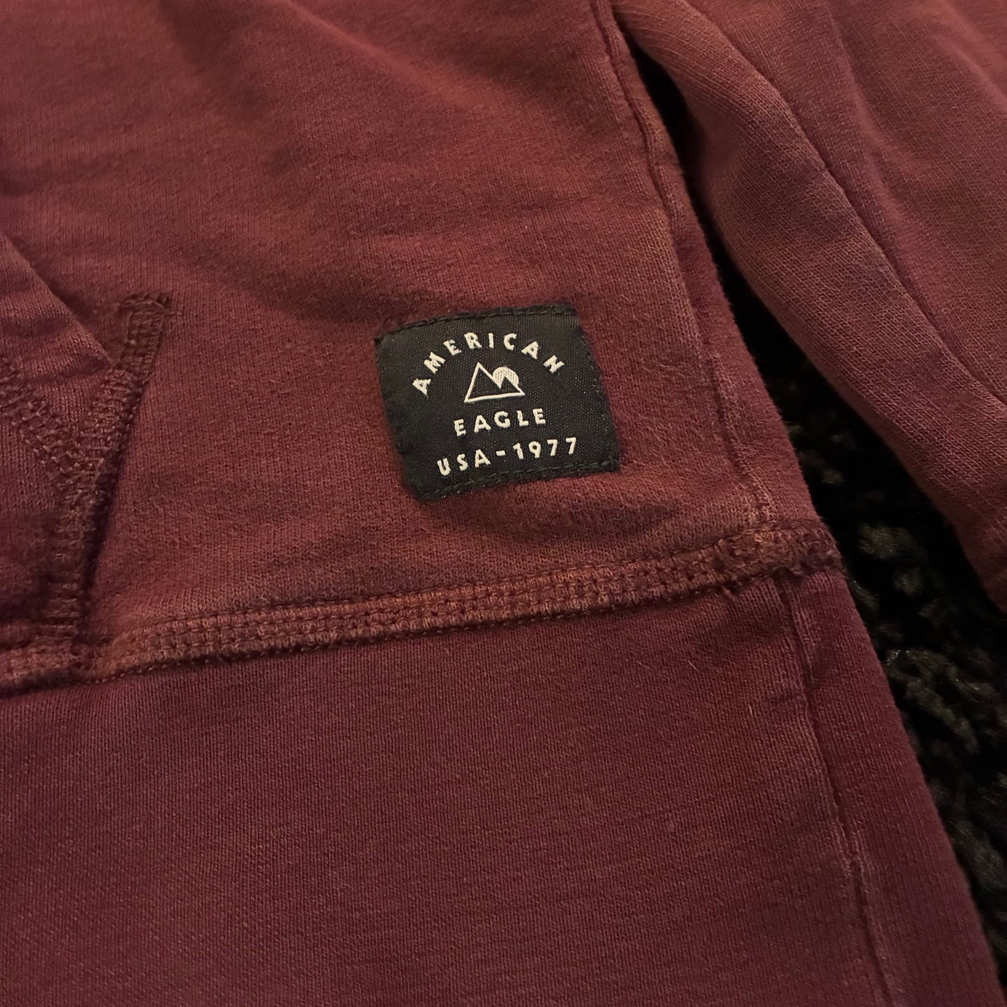 American Eagle Hoodie ( M)