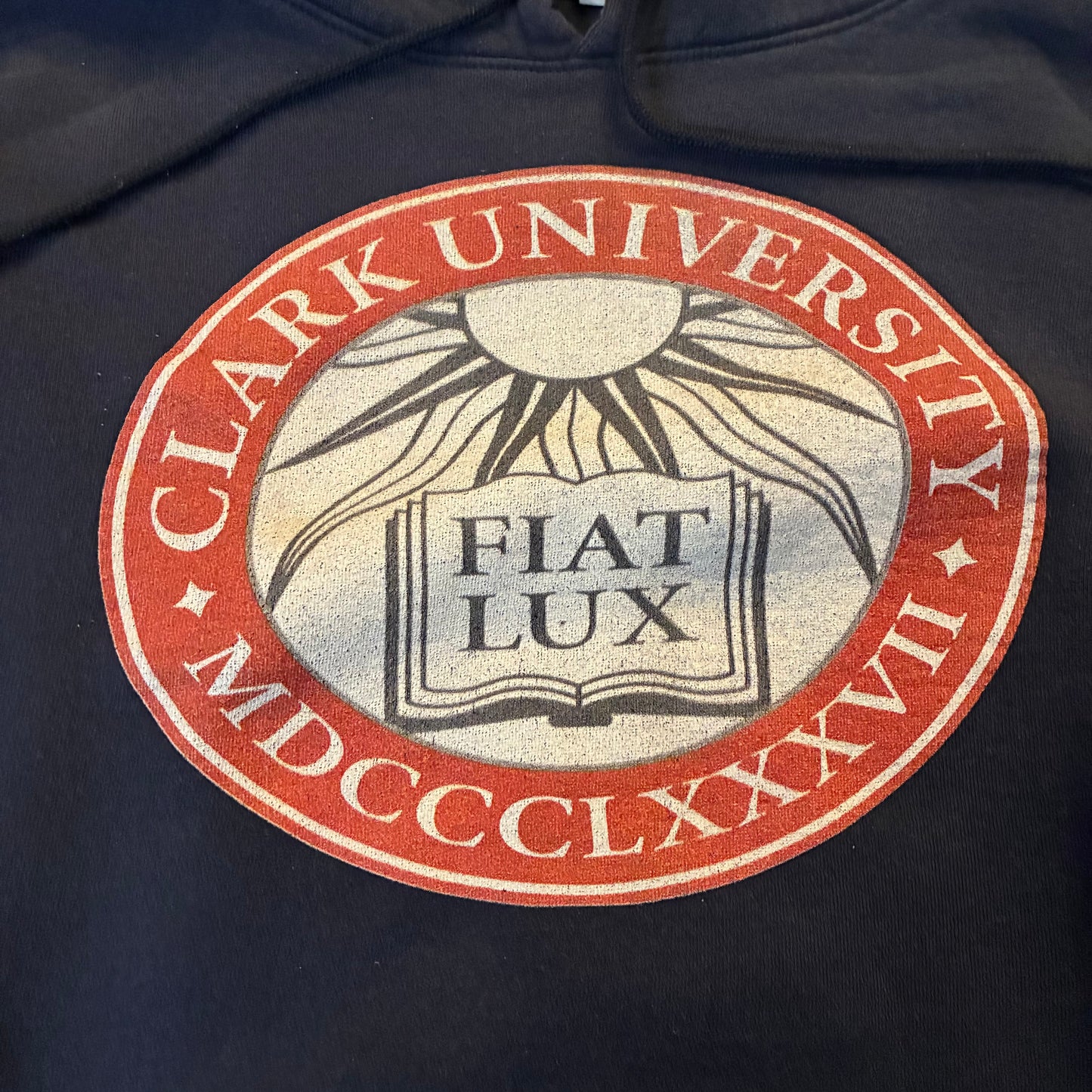 Clark University Hoodie (Fits M)