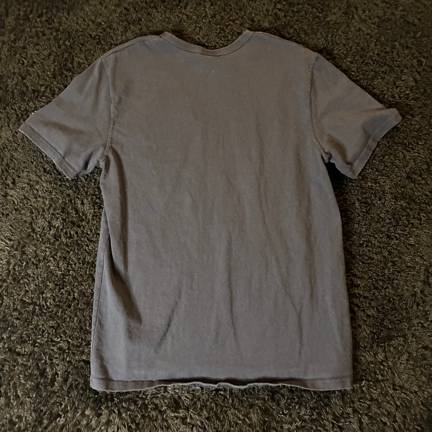 Champion Logo Tee (M)